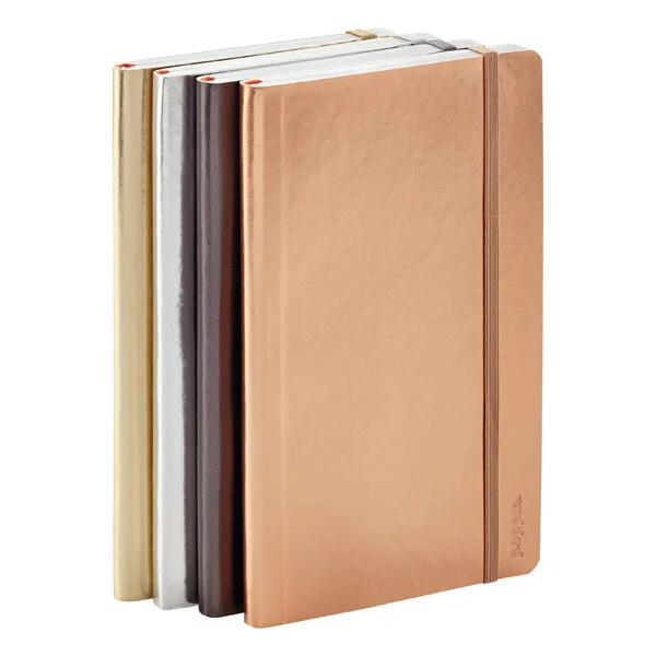 Poppin Metallic Notebook Set
