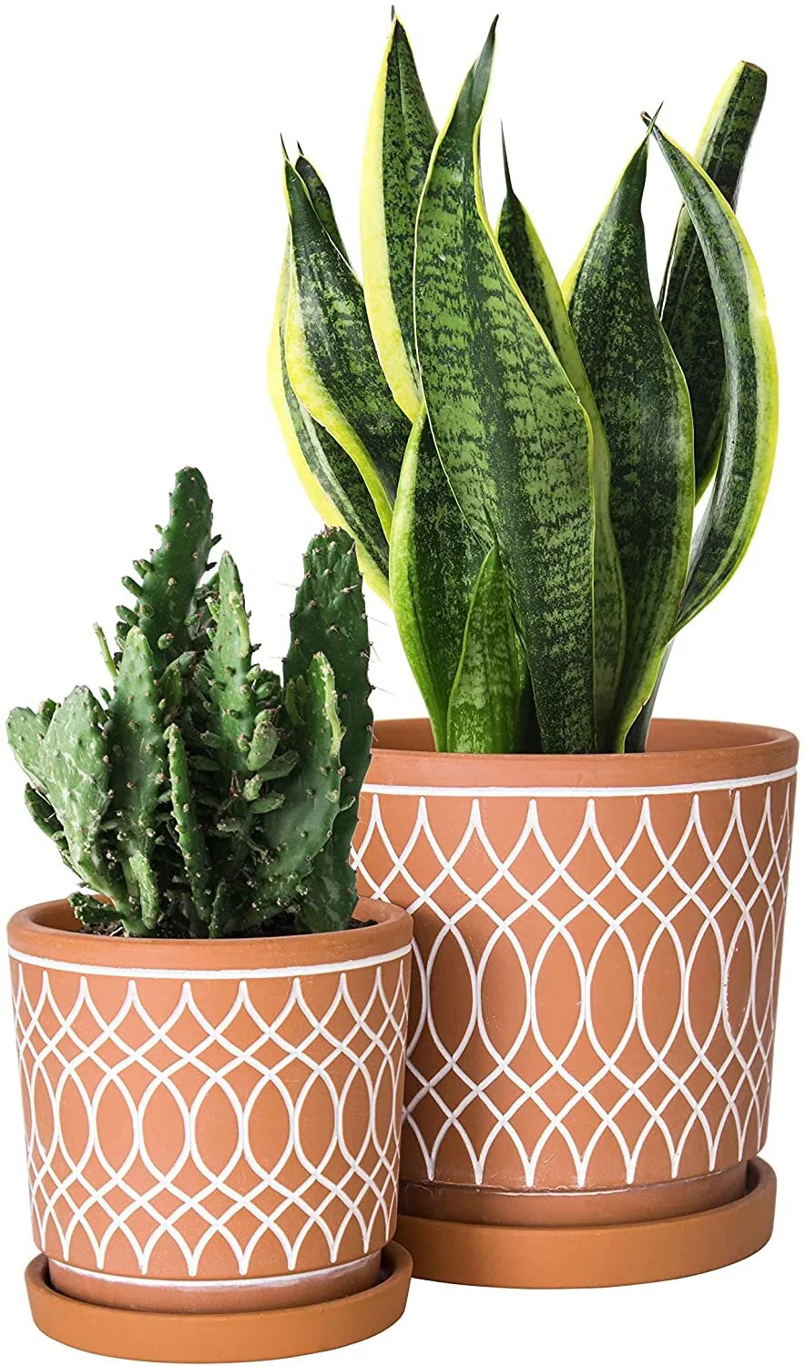 Terracotta Planter Set of 2