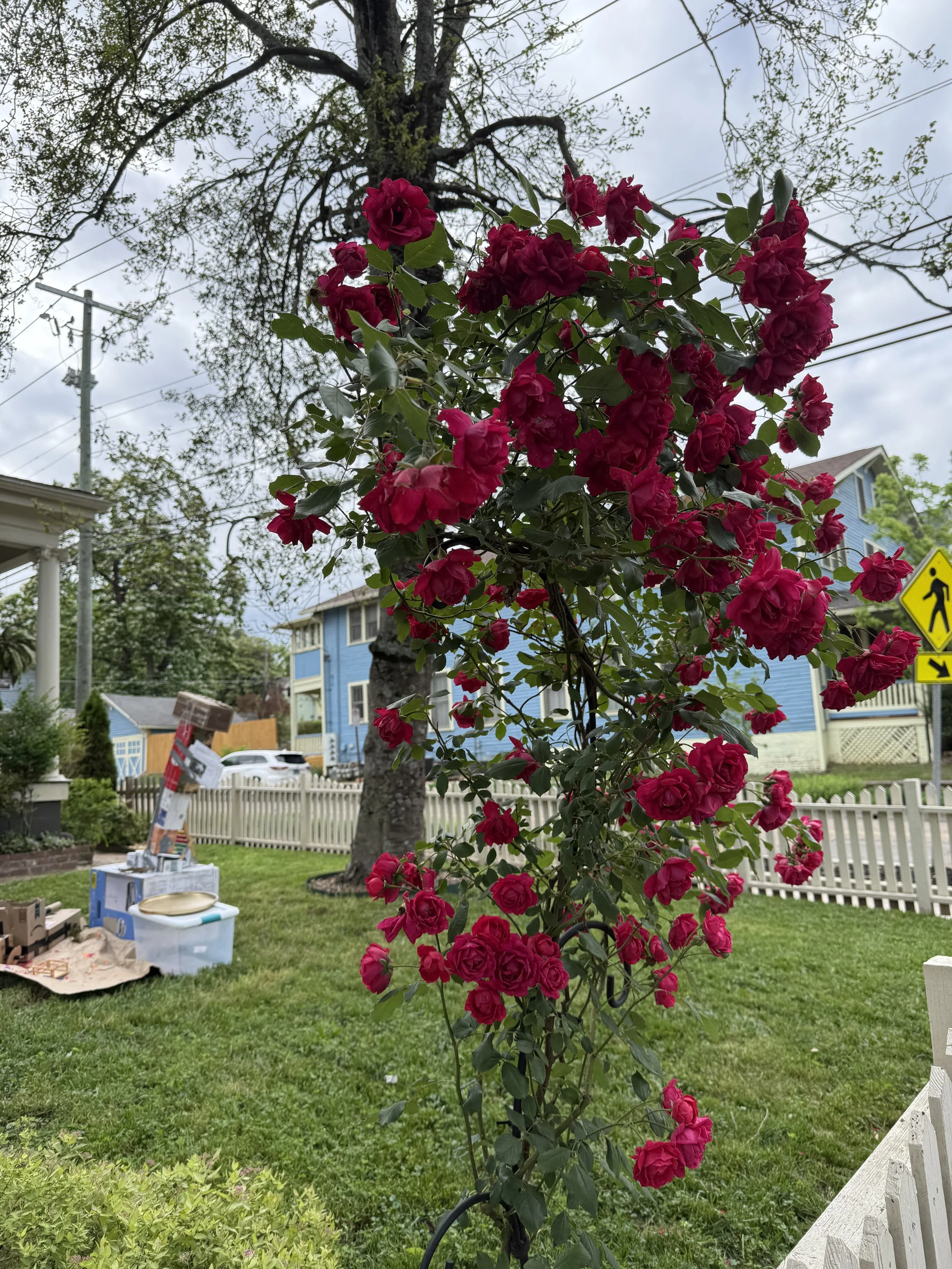 4th & Gill Tour of Homes & Secret Gardens 2025