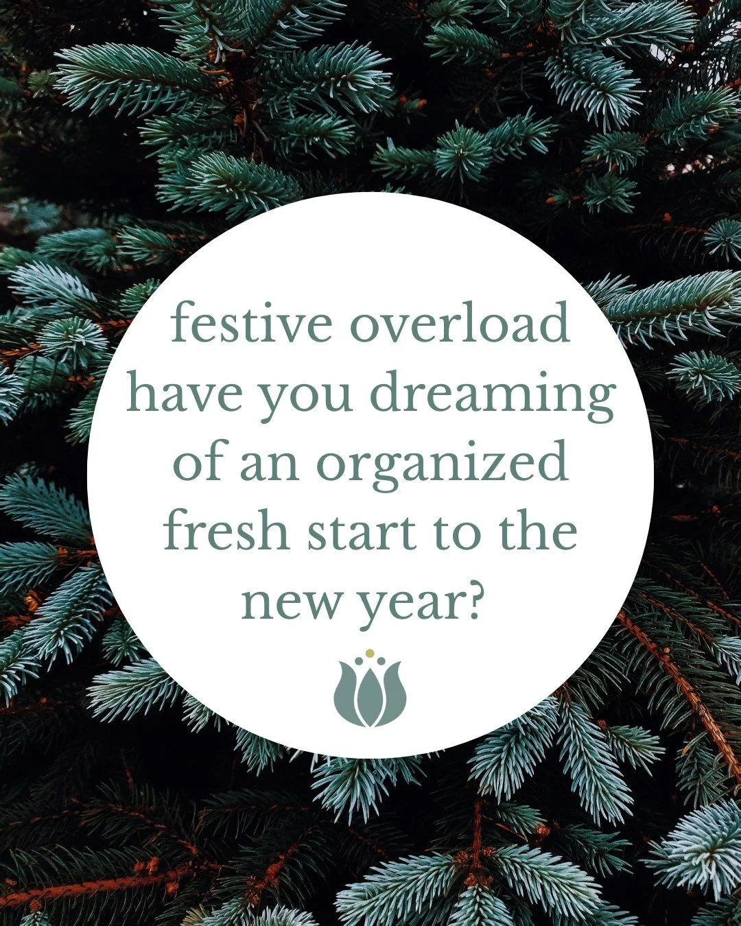 If you find yourself in a sea of glitter, pine needles, ribbon, sprinkles, and mysterious festive decor... you're not alone 🎄

As we help folks deck their halls and make their homes ready for the holidays, we wanted to remind you that we are now sch