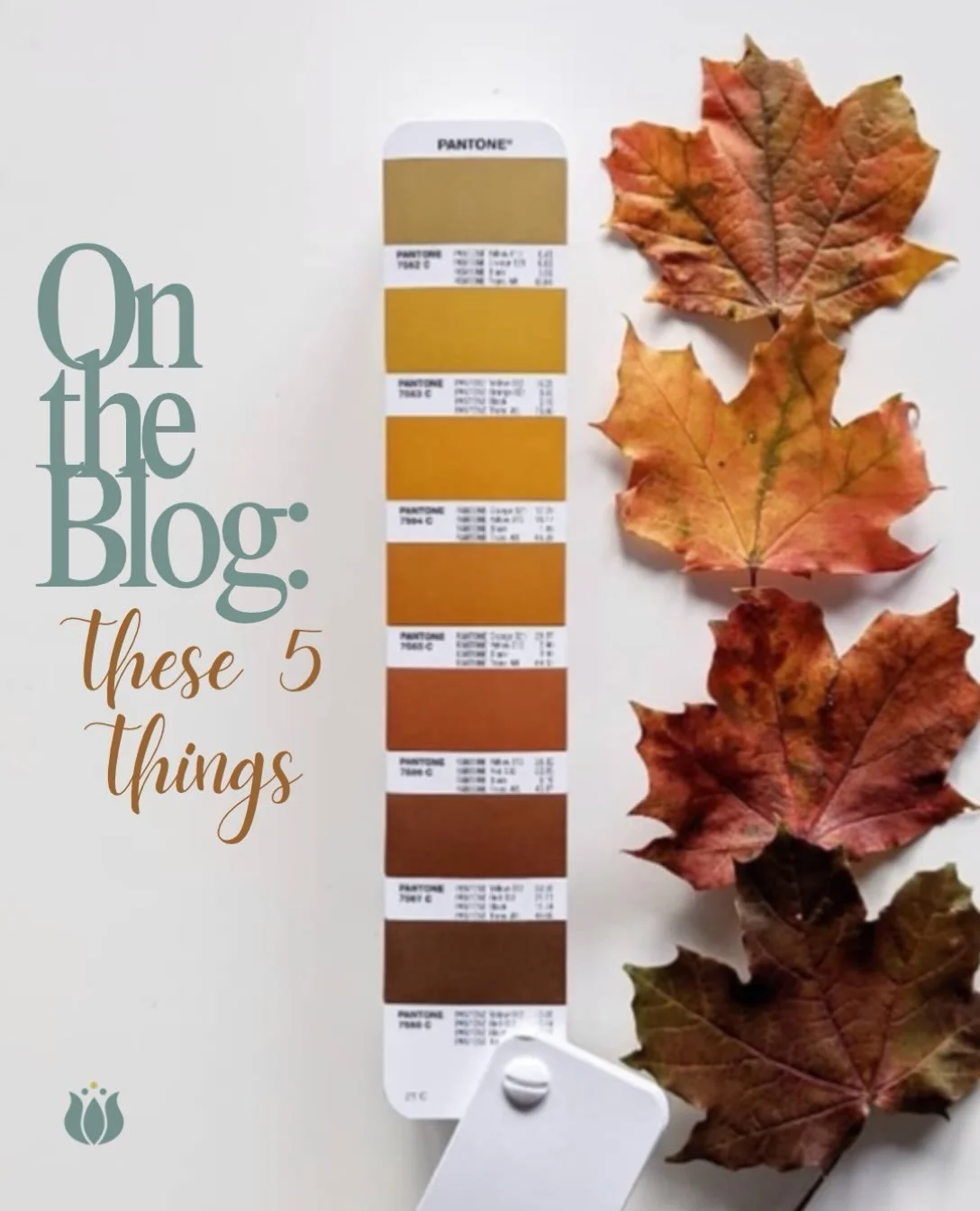 A little fall inspiration for your week! 🍂

Our latest &ldquo;These 5 Things&rdquo; is on the blog, with a few things we&rsquo;re loving, sharing, and thinking about lately.

Comment FALL to get the link sent to your DM!