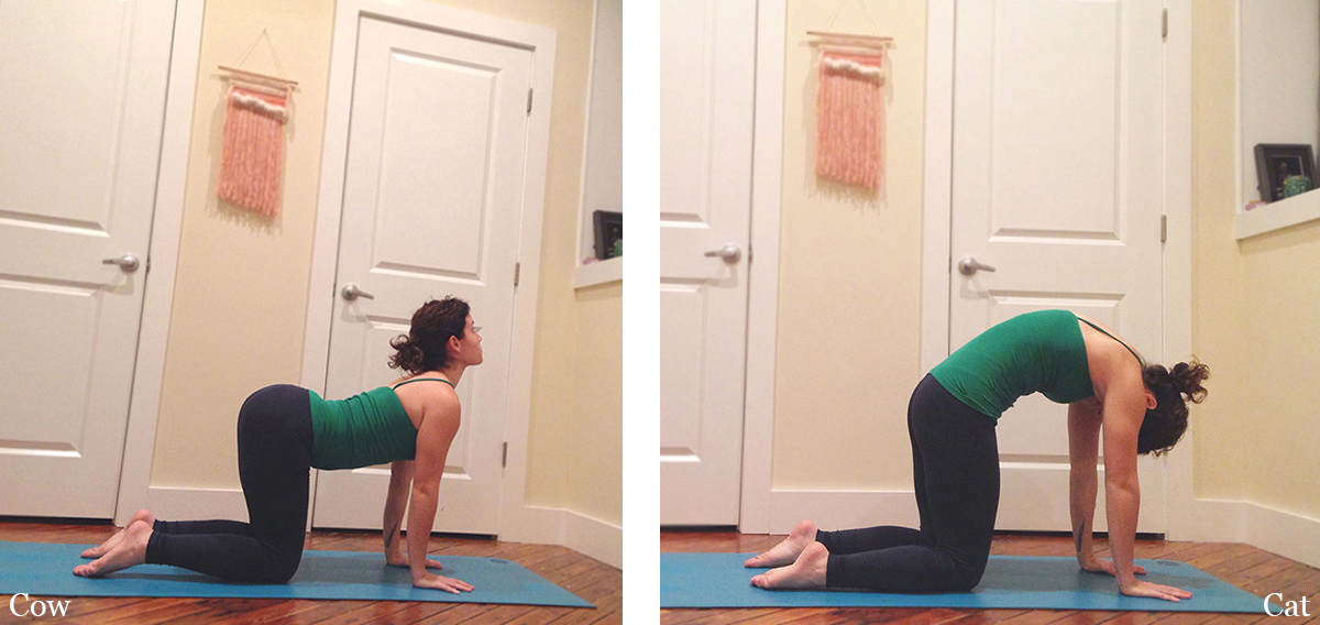 This is technically two poses, but they are done together so let's count them as one. Cat/Cow is a wonderful upper back stretch and doing "rounds" of this will really warm up your body. -Start in tabletop position, have your knees hip-width apart, arms shoulder-width apart, wrists in line with your shoulders. -On an inhale, arch your back, lift your tailbone and gaze up, keeping your hands pressing firmly into the ground. Exhale and continue pressing your hands into the ground, round your back, keep your tummy tucked in and feel that beautiful stretch in between the shoulder blades. Tailbone should be reaching down. -Do several rounds of this moving with your breath. Inhale to cow, exhale to cat. 