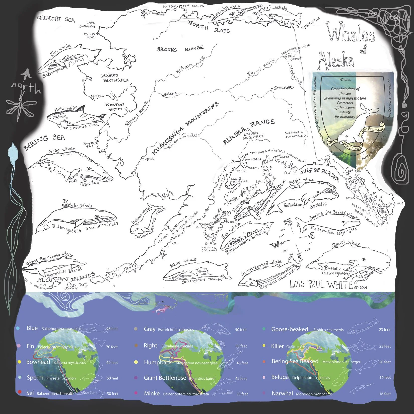 Whales of Alaska