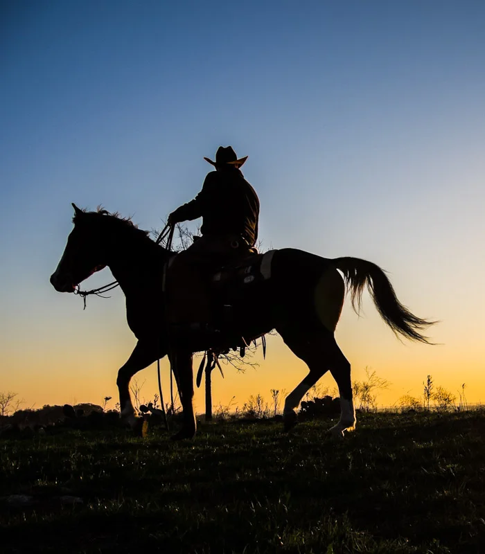 Texas 3-2013-287-Edit.jpg