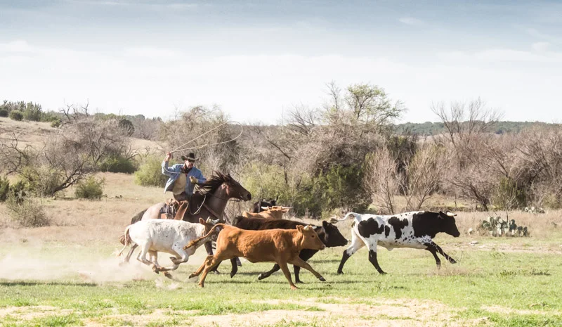 texas #3 3-2014-1179-Edit-Edit.jpg