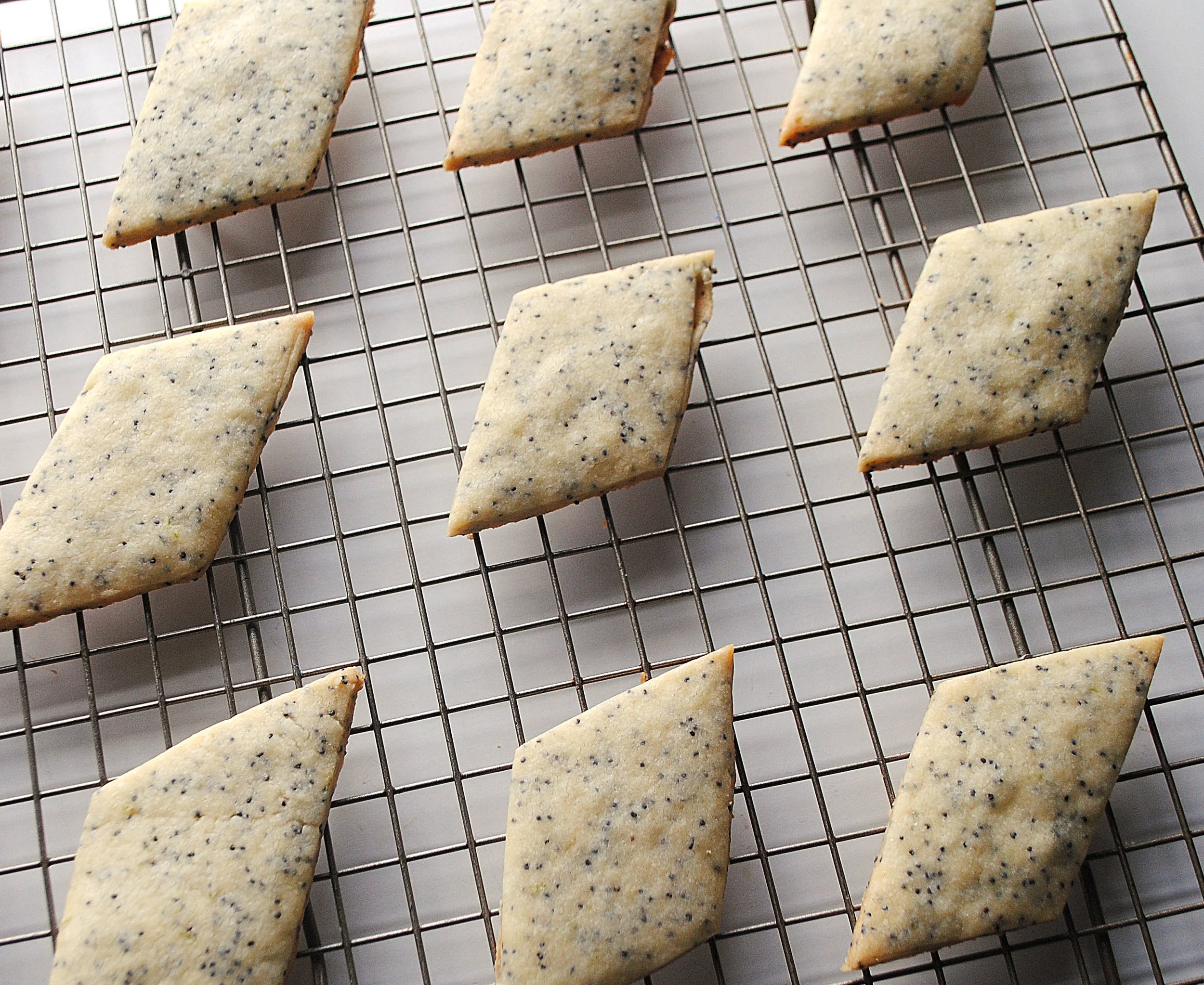 Lime Poppy Seed Shortbread 6.jpg