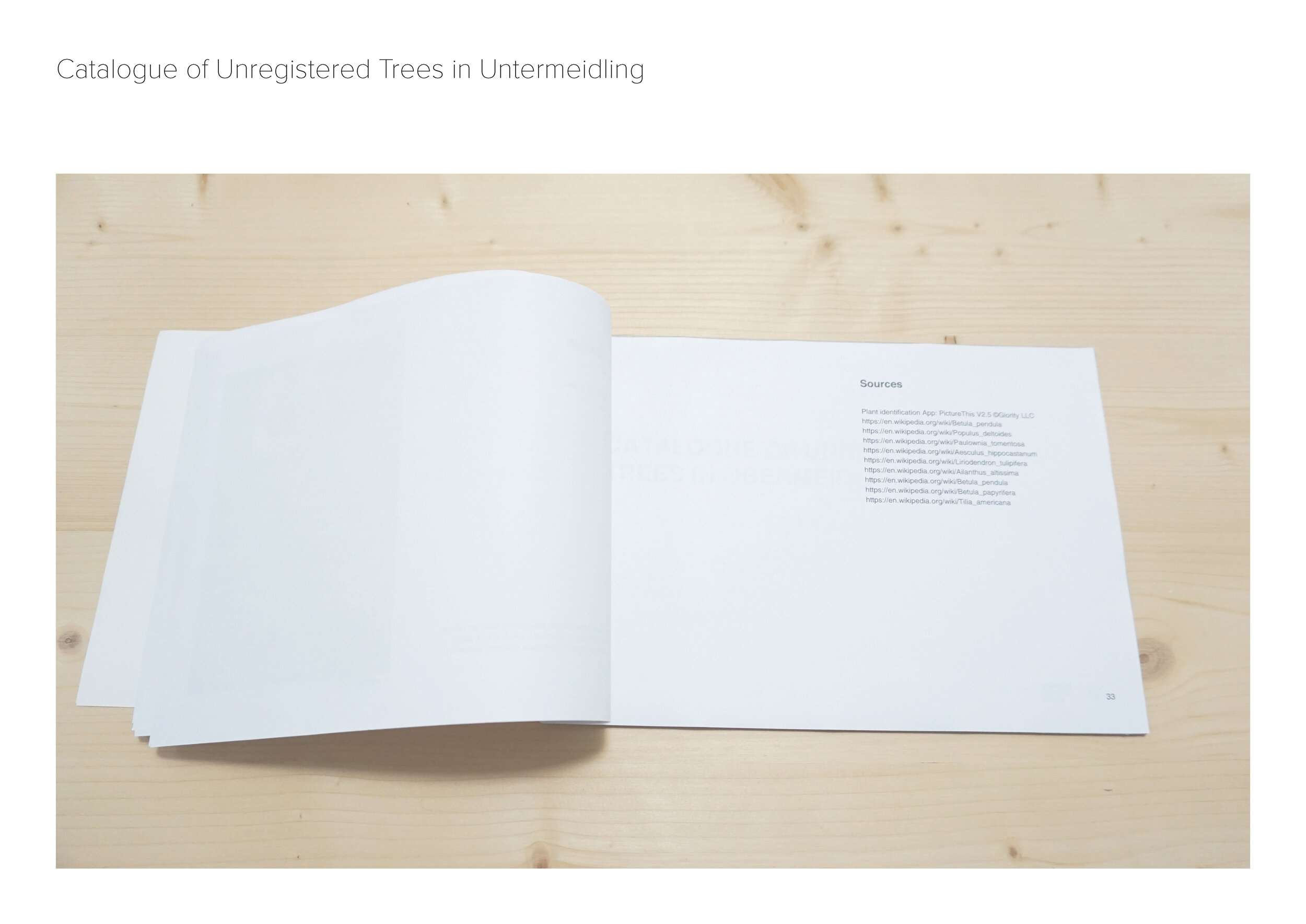 AAnt20__CRACKS IN THE SYSTEM__presentation_Seite_37.jpg