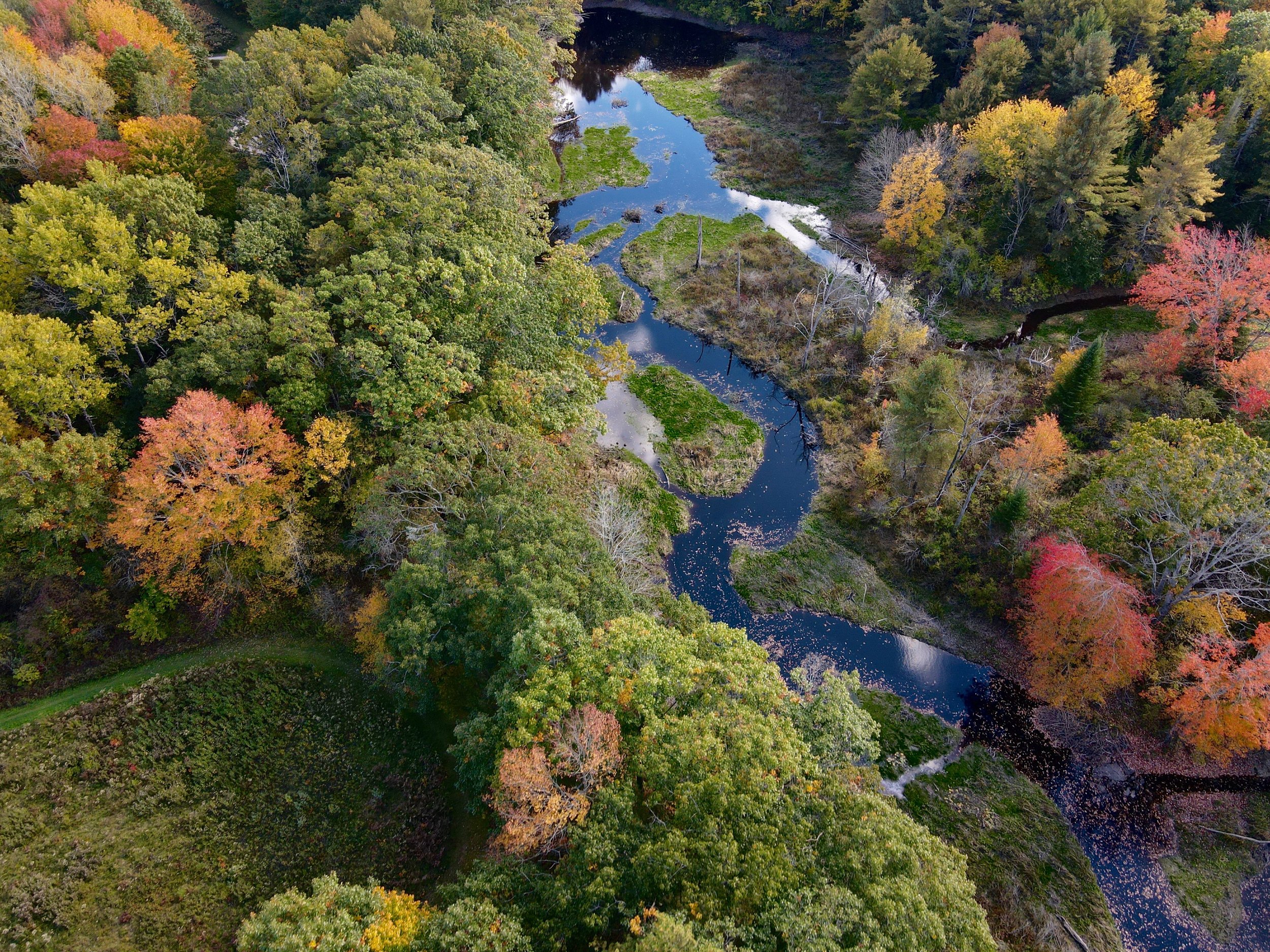 batson river.jpeg