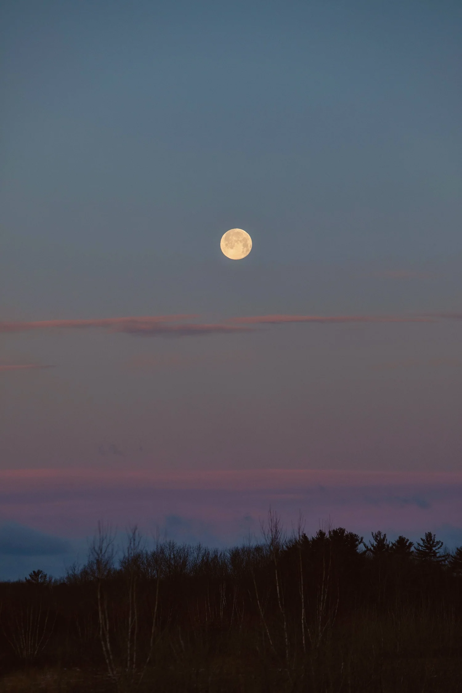 Edwin L. Smith Preserve — Kennebunkport Conservation Trust