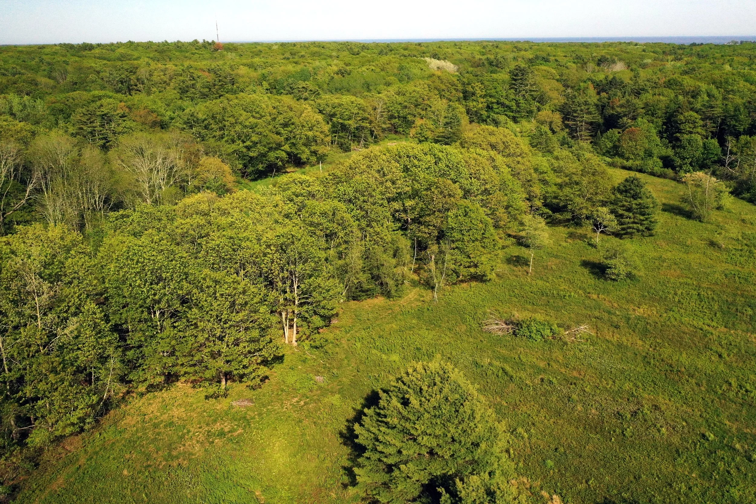  Drone shot by Tim Fraser 