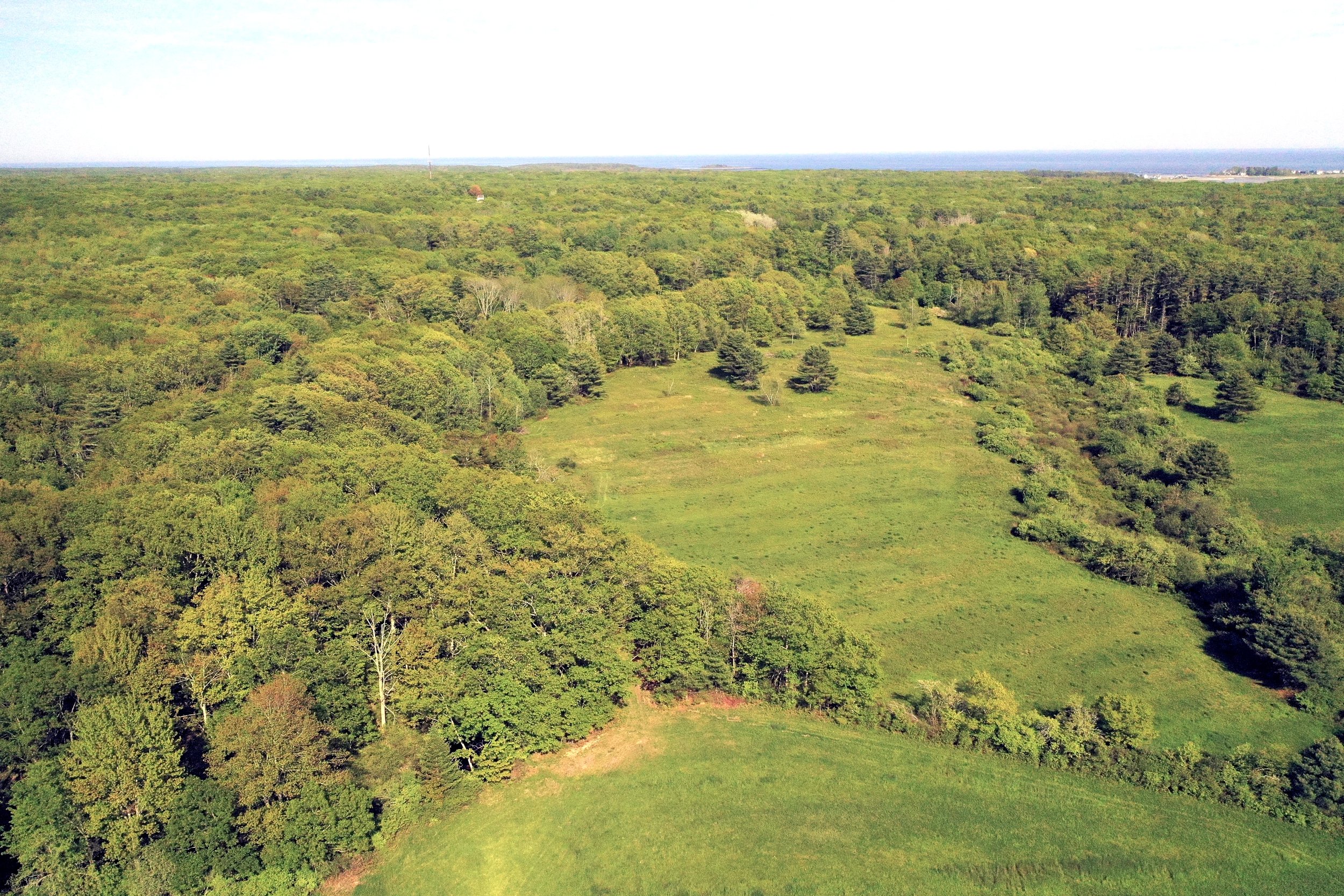 The beautiful fields of the 17-acre parcel