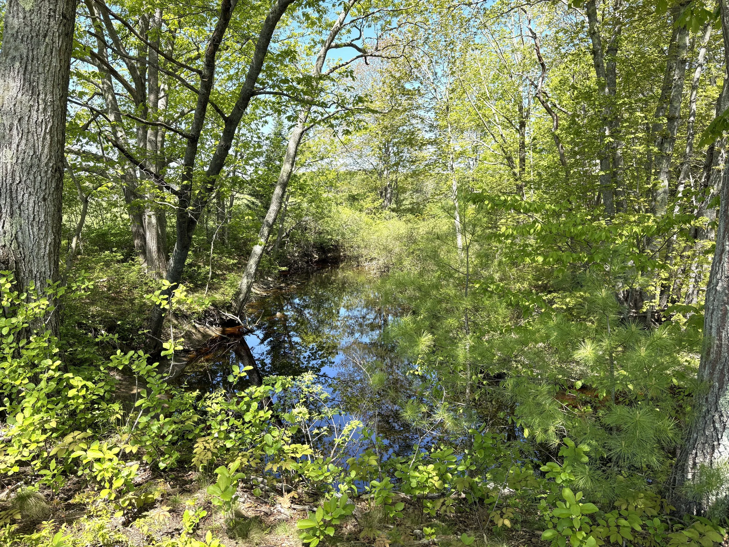  The Batson River 