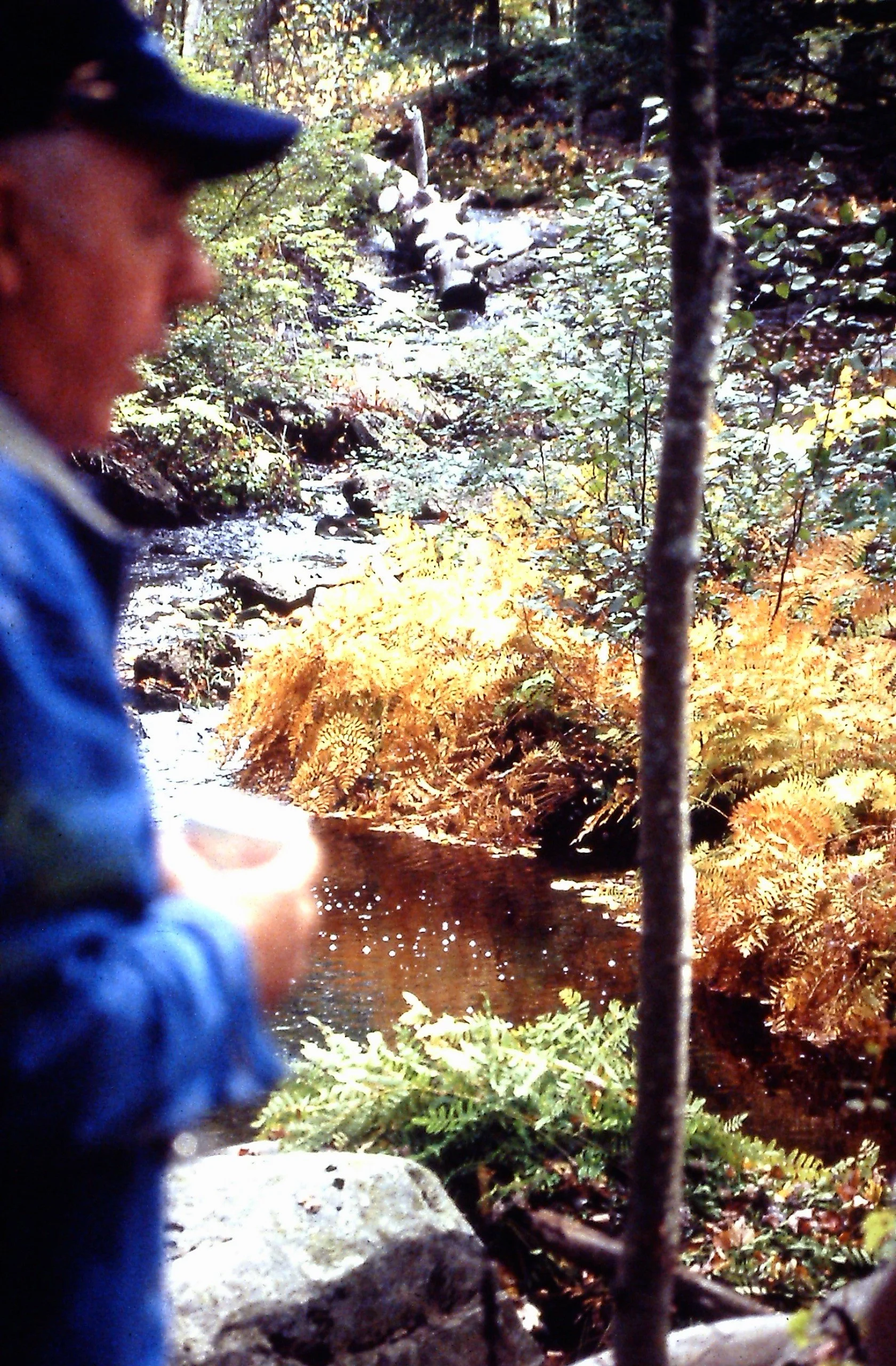  Steve Emmons looking at the Batson River. 