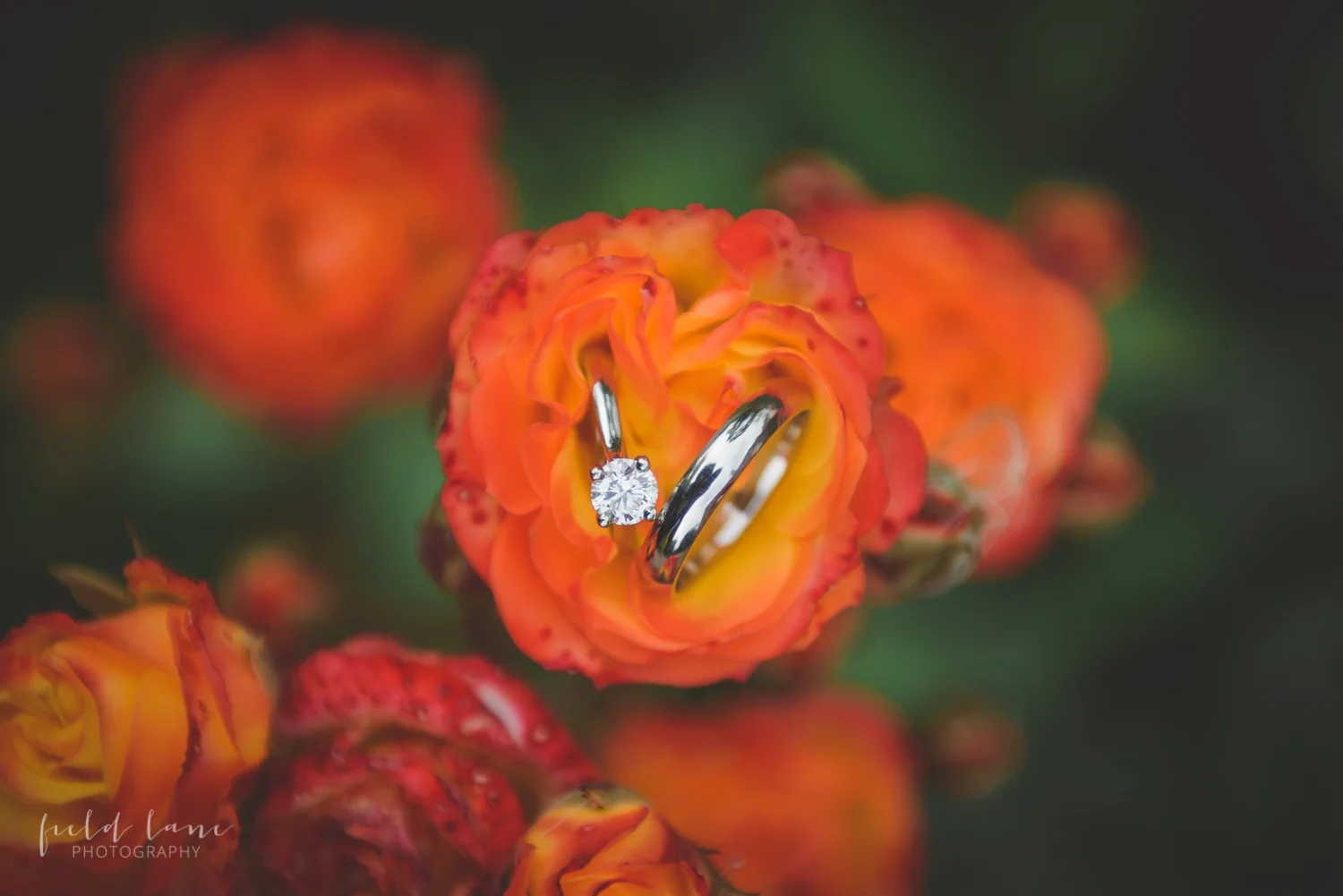Goldstone Hall Wedding Photography-27.jpg