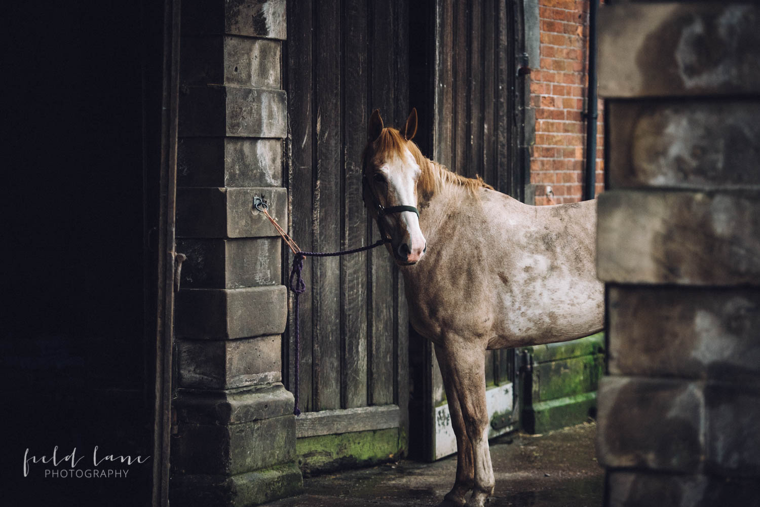 Ingestre hall wedding photography