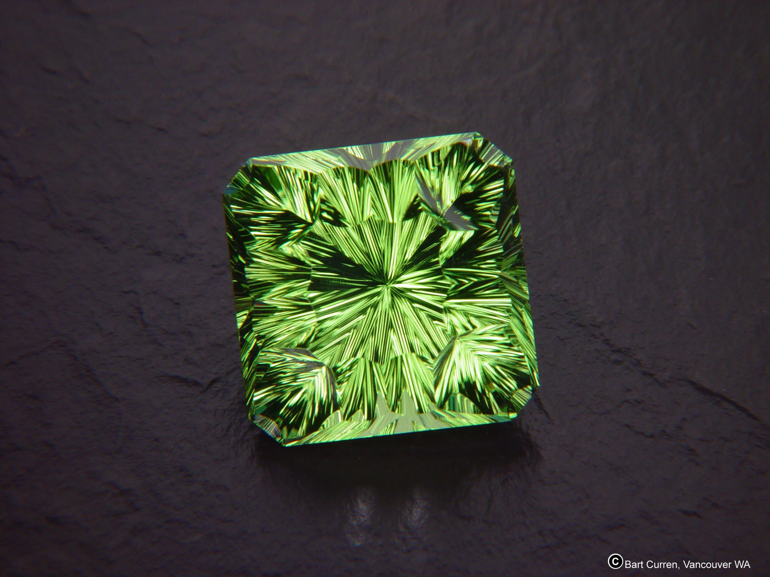 Smithsonian donation.JPG