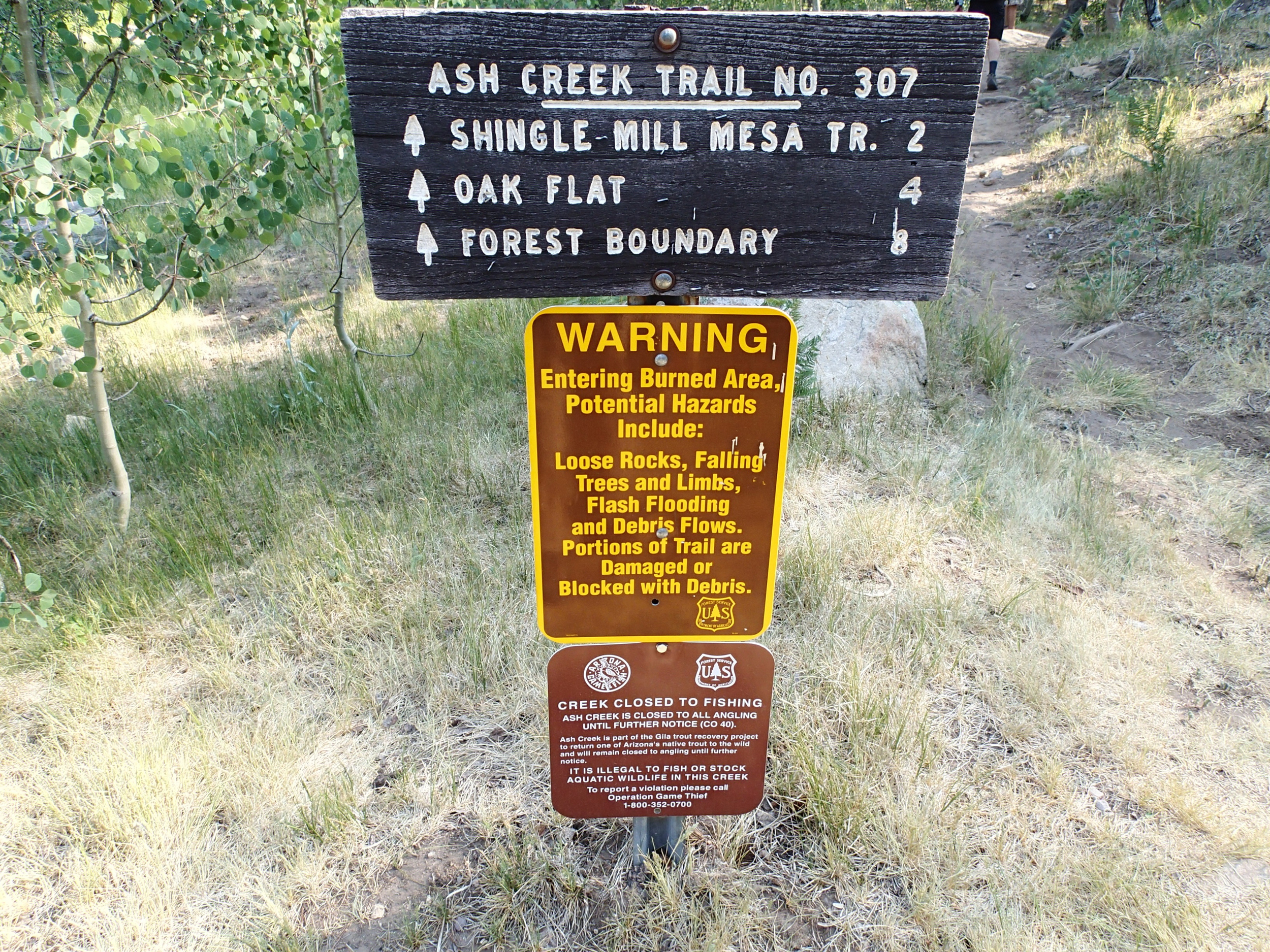 Ash Creek Canyon - Canyoneering, AZ