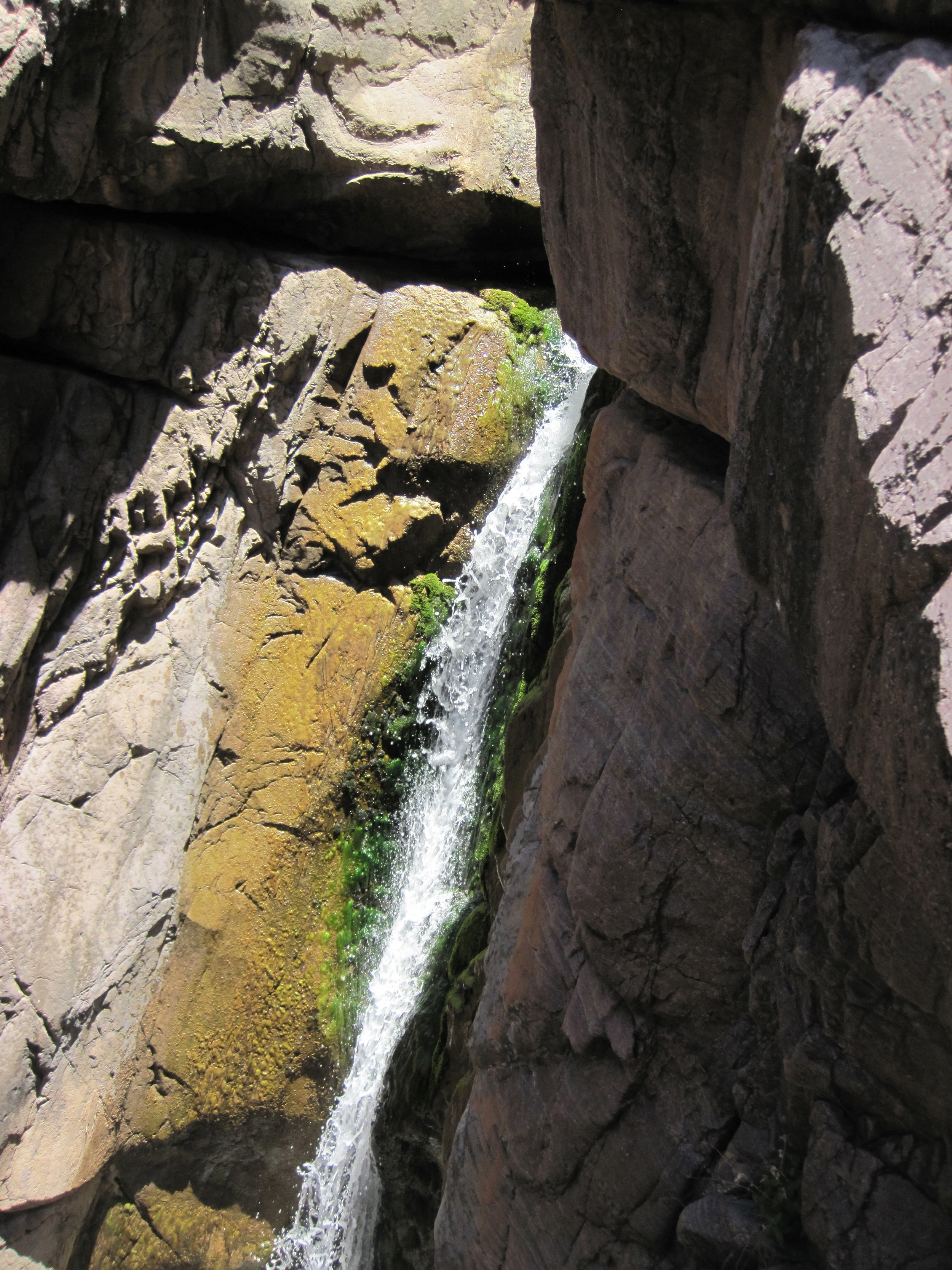 Christopher Creek Canyon - Canyoneering, AZ