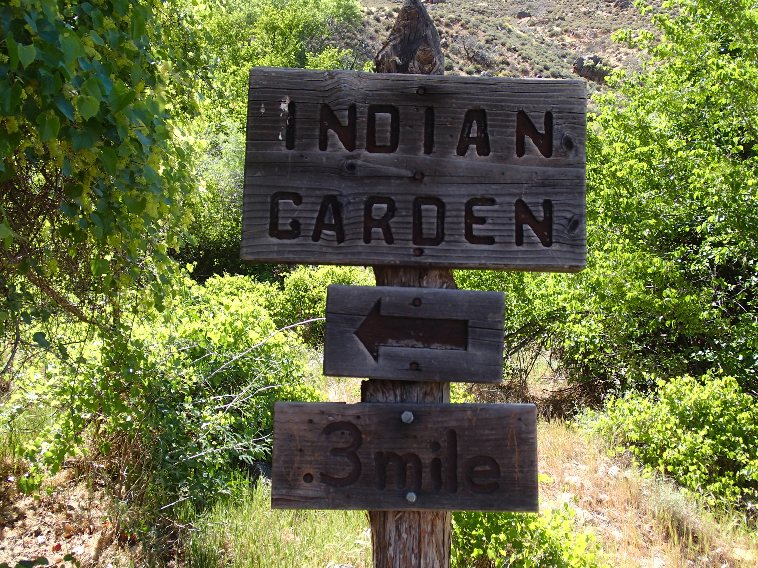 Garden Creek Canyon - Canyoneering, AZ