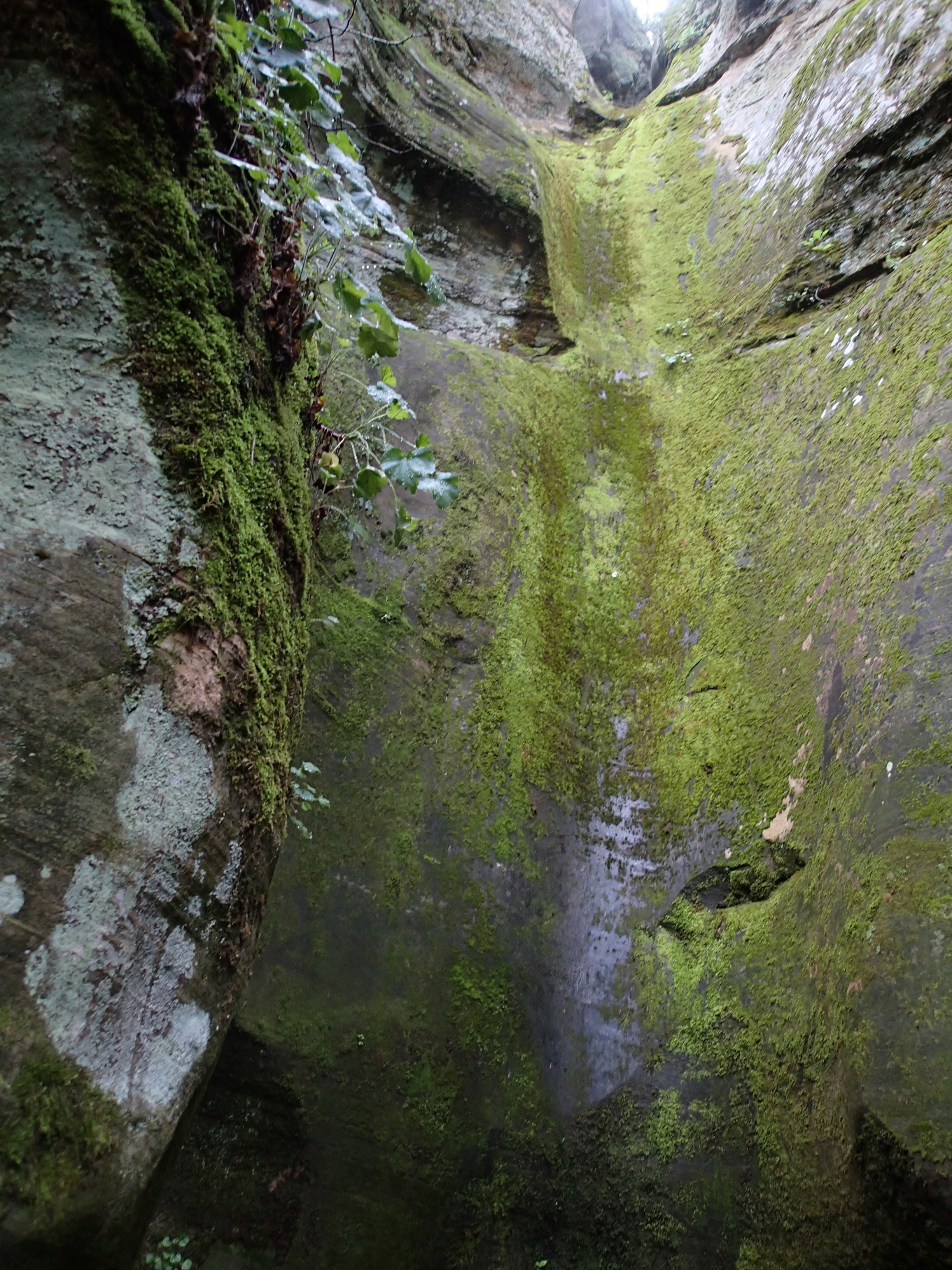 Illusions Canyon - Canyoneering, AZ