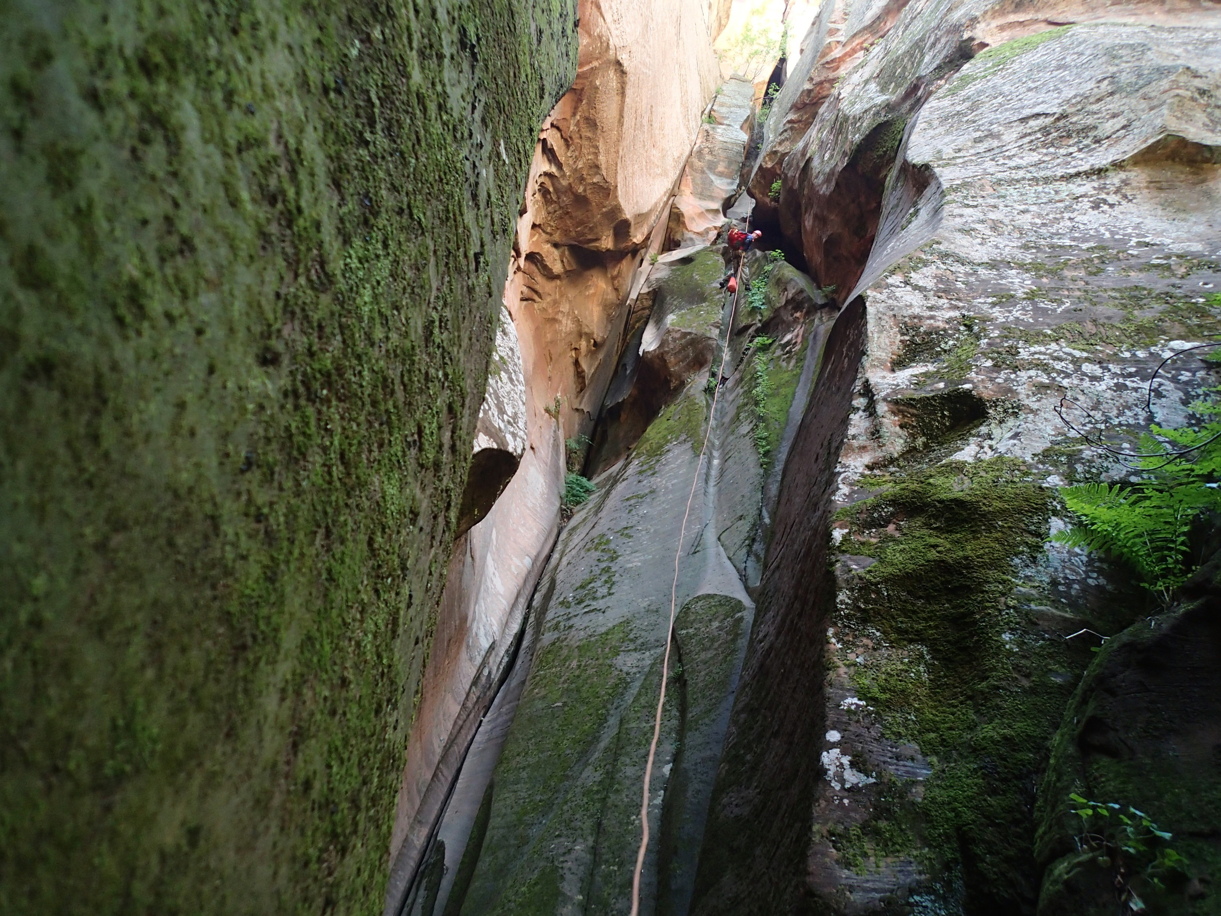 Immaculate Canyon - Canyoneering, AZ