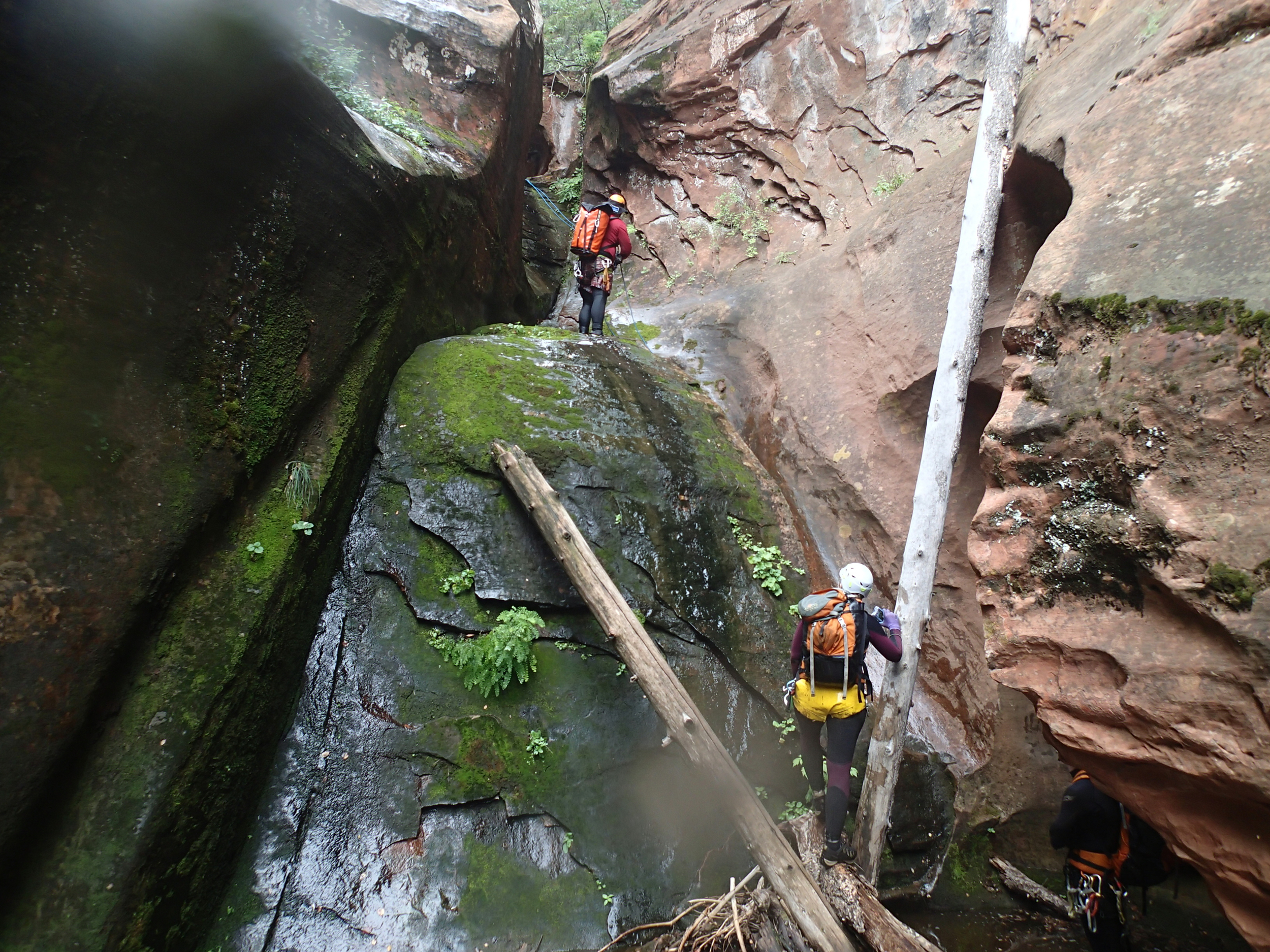 Insomnia Canyon - Canyoneering, AZ