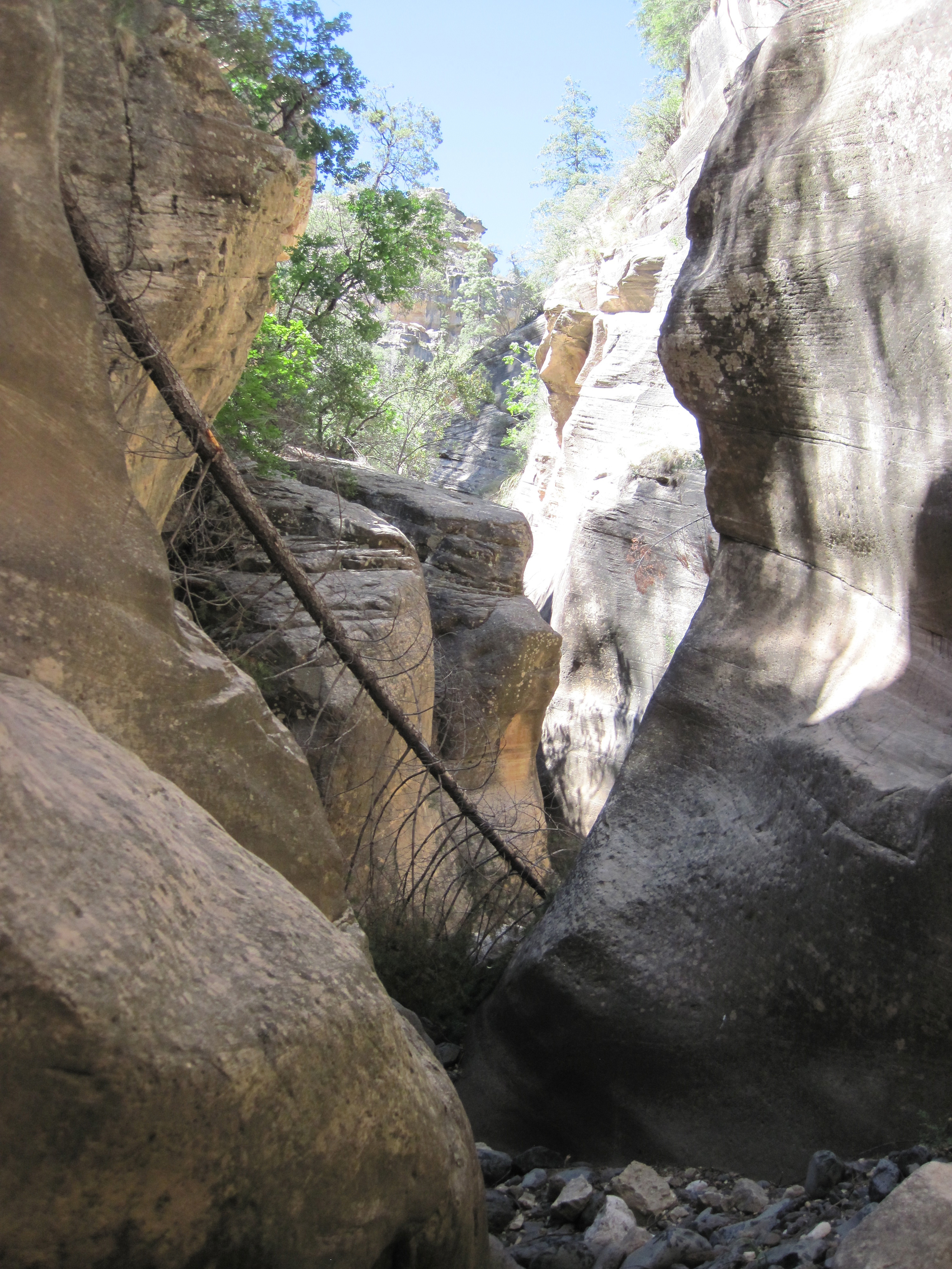 Little L.O. Canyon - Canyoneering, AZ