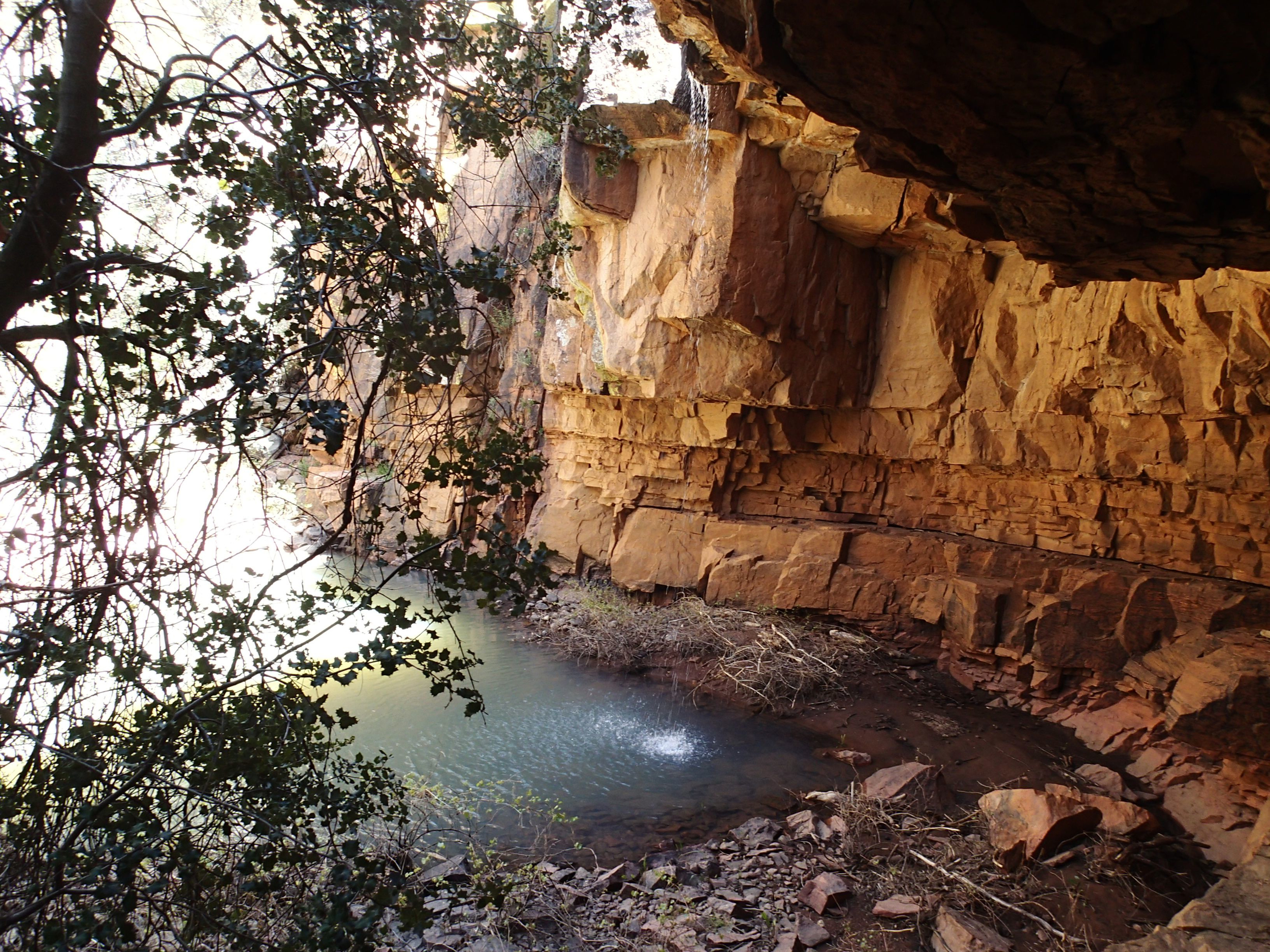 Salome Creek (Grotto Pool) Canyon - Canyoneering, AZ