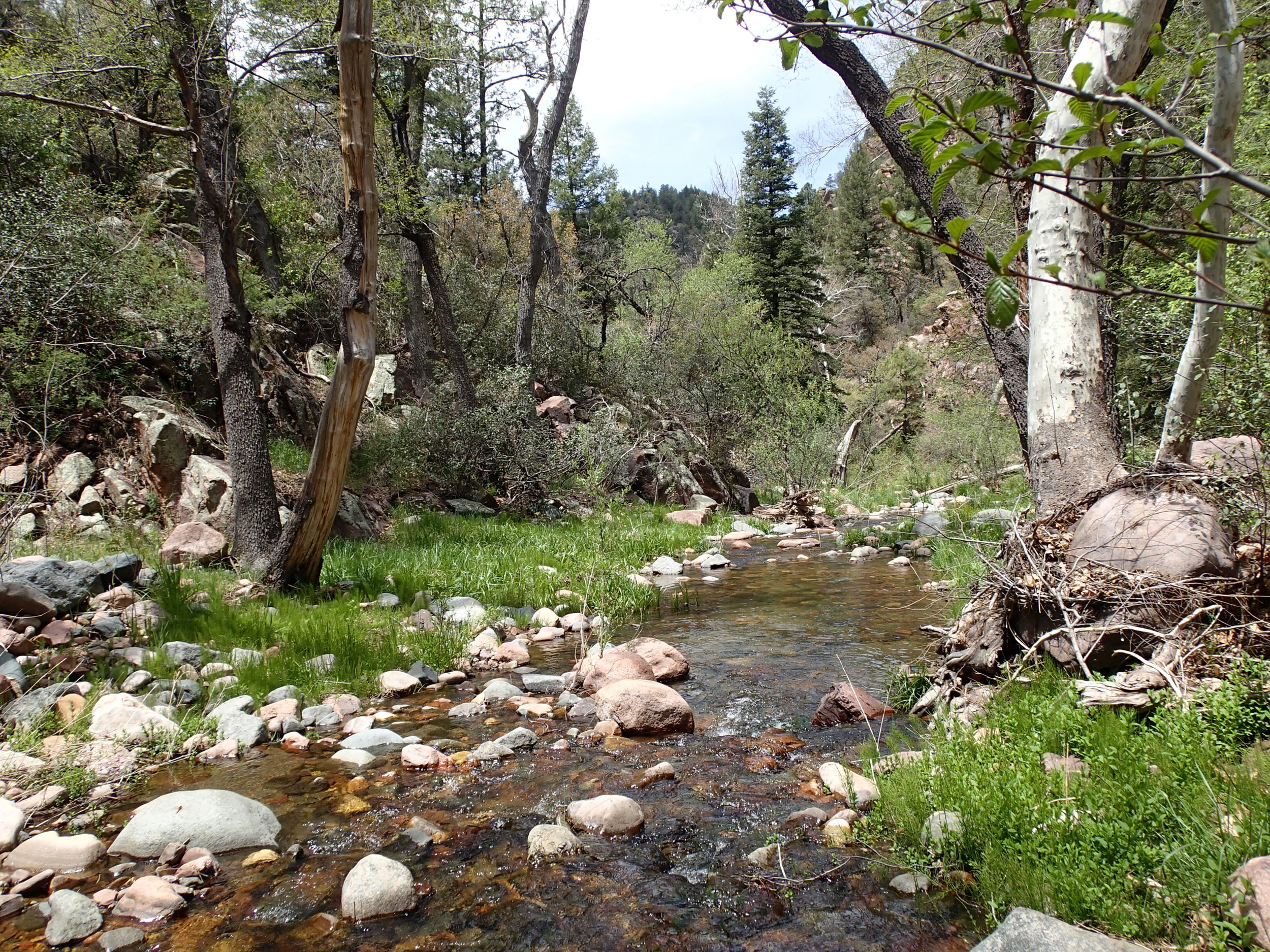 Salome Creek (Grotto Pool) Canyon - Canyoneering, AZ