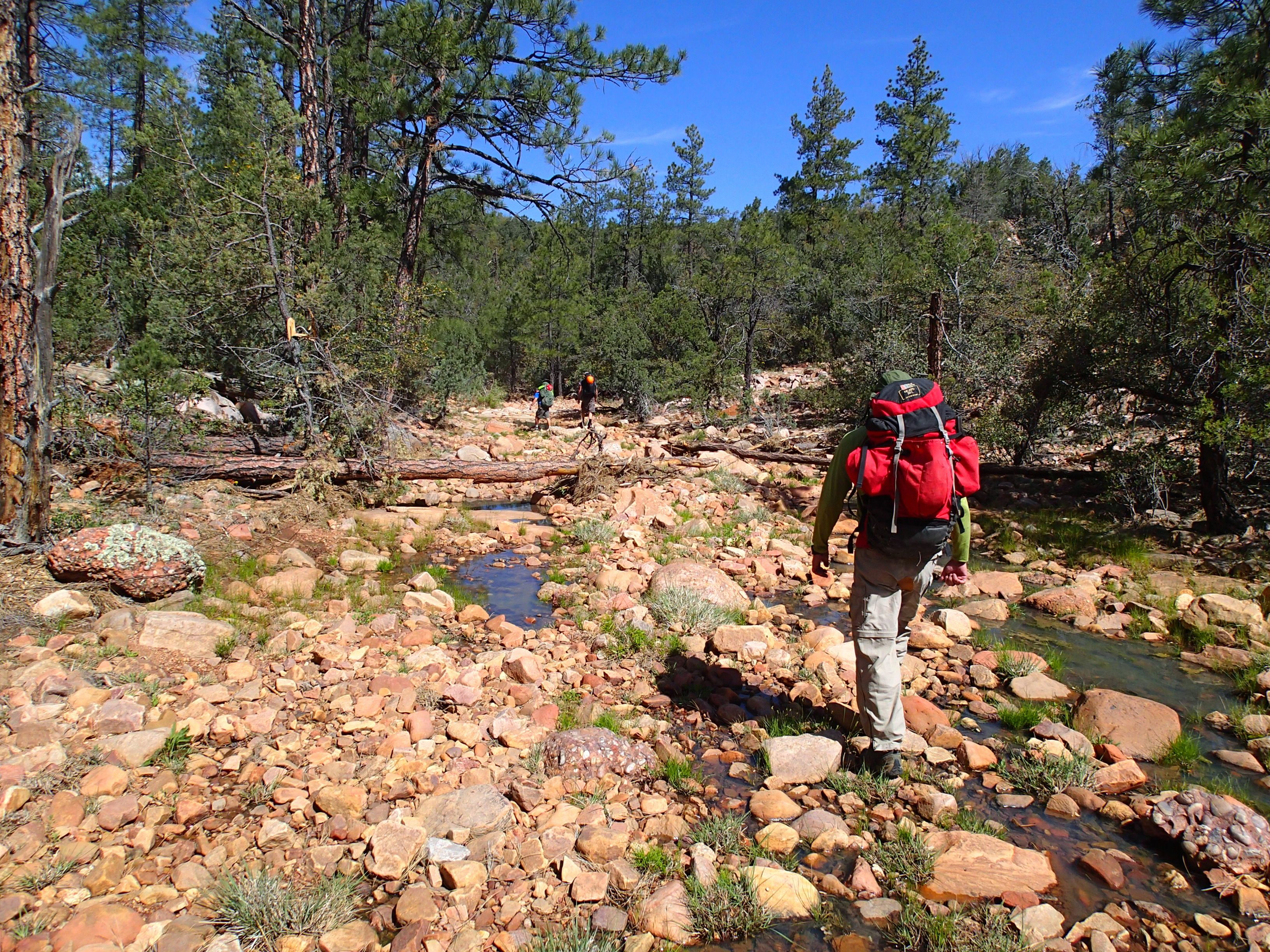 Salome Creek (Grotto Pool) Canyon - Canyoneering, AZ