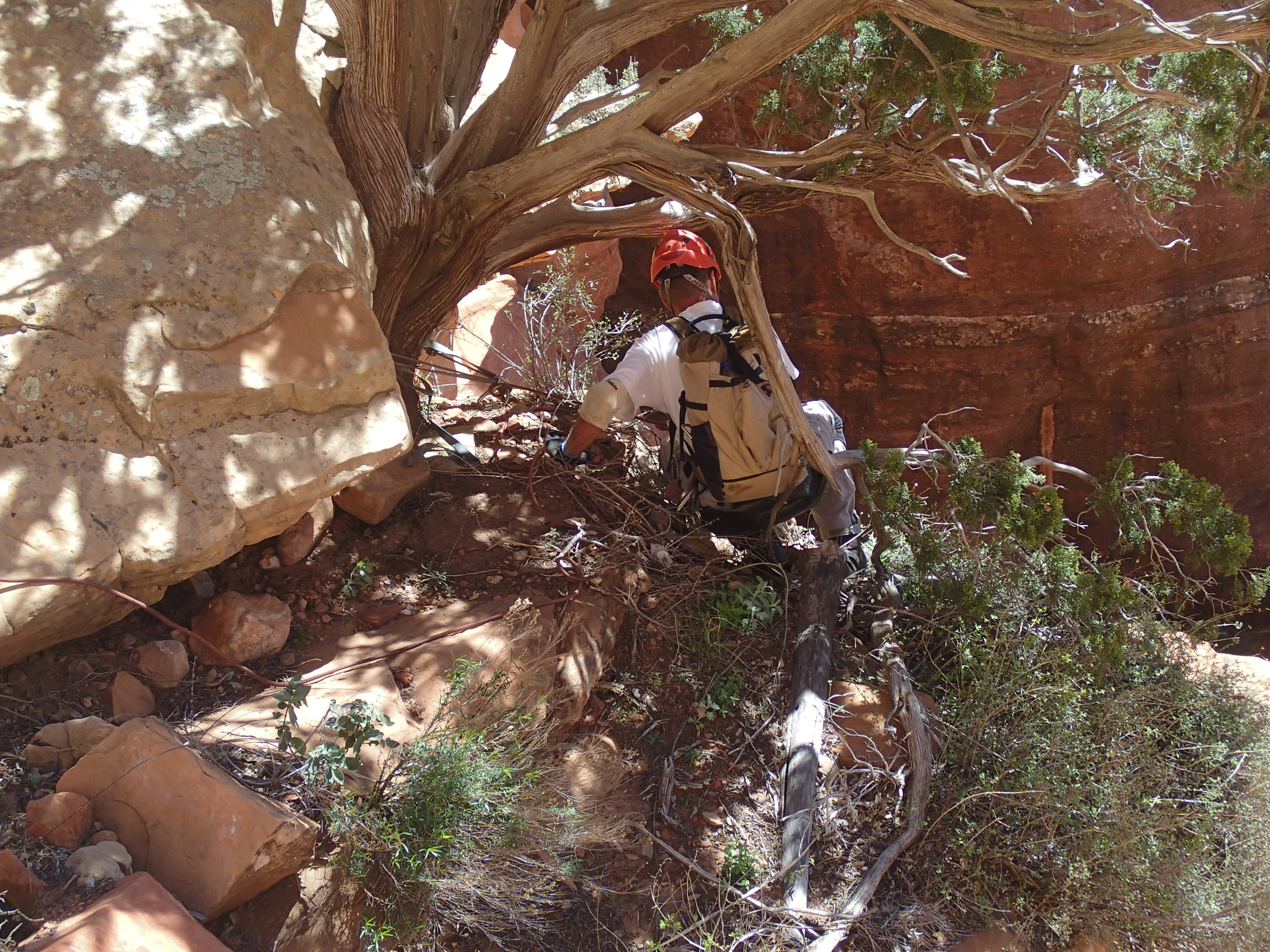 Mormon Canyon, AZ - On Rope Canyoneering