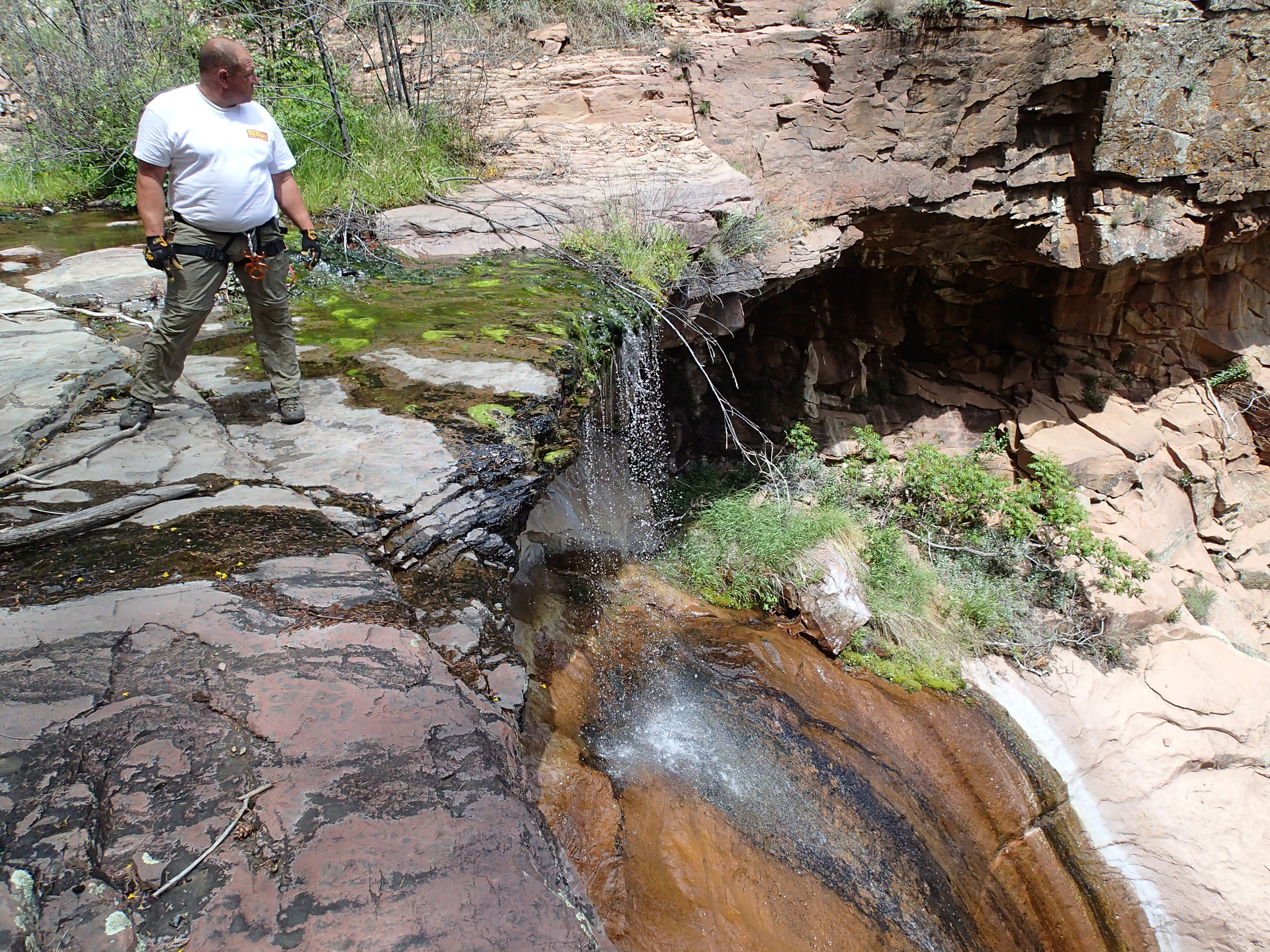 Pueblo Canyon, AZ - 061