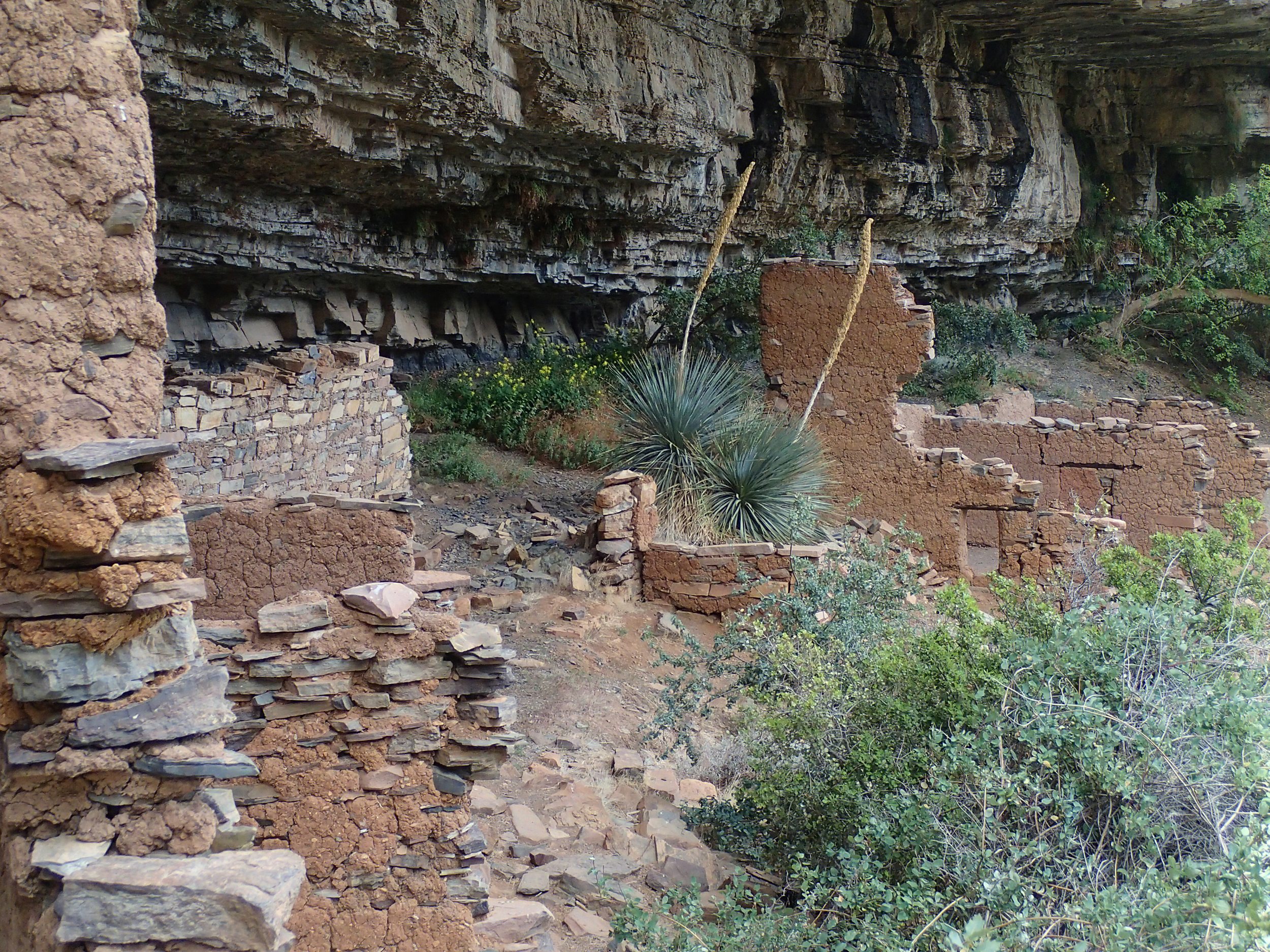 Pueblo Canyon, AZ - 109