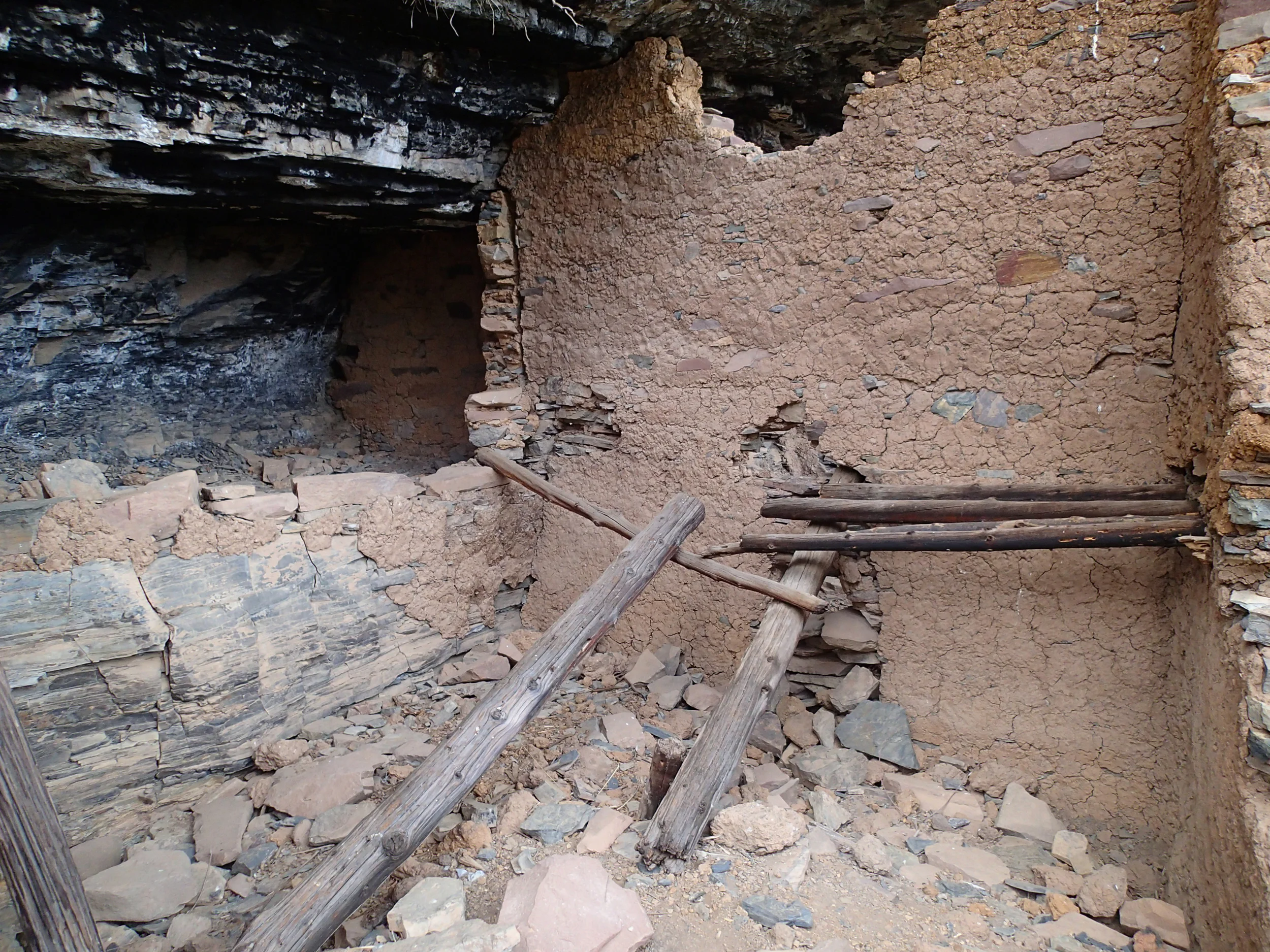 Pueblo Canyon, AZ - 110