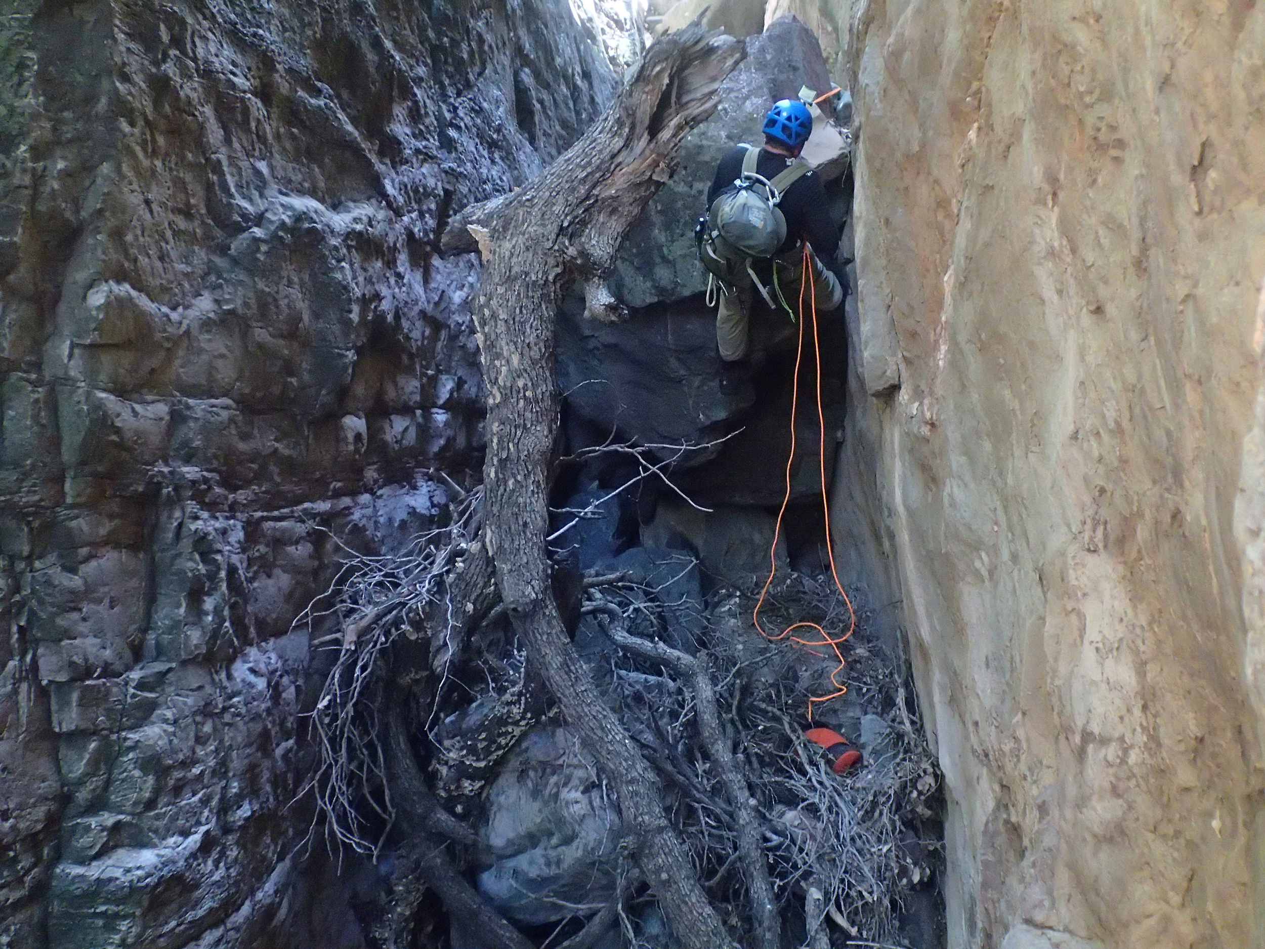 Pueblo Canyon, AZ - 154