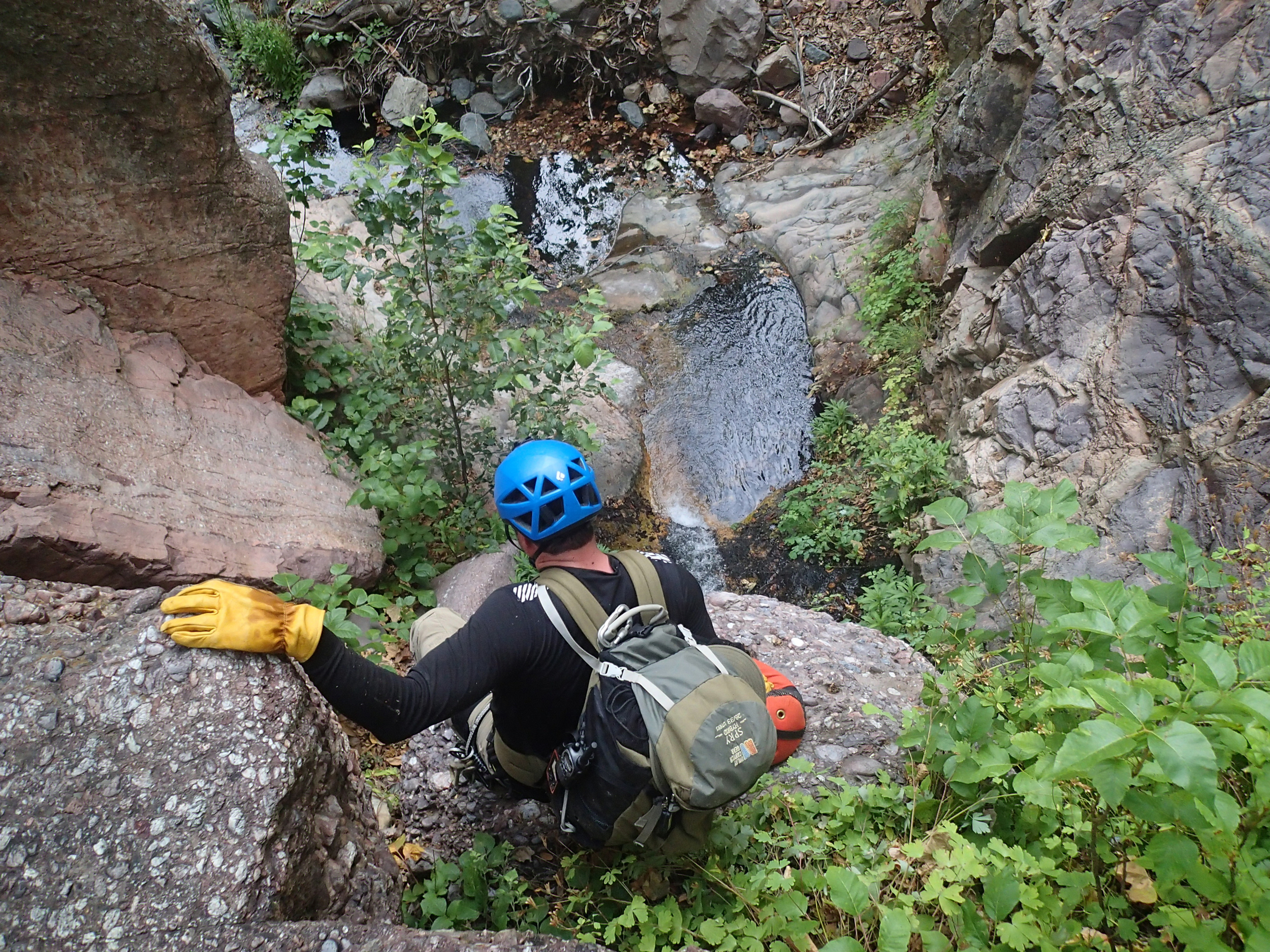 Pueblo Canyon, AZ - 176