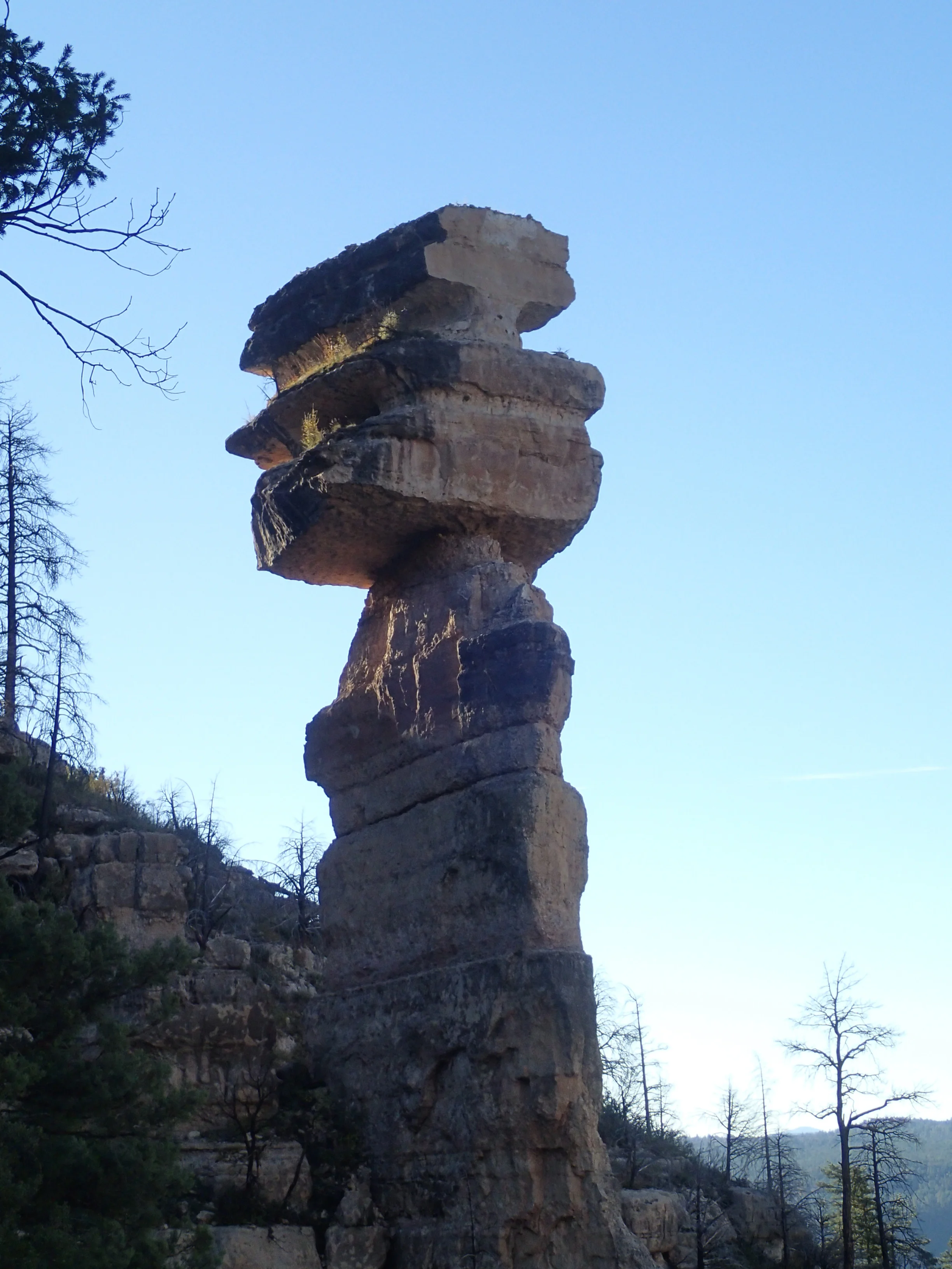 PA160760.jpg