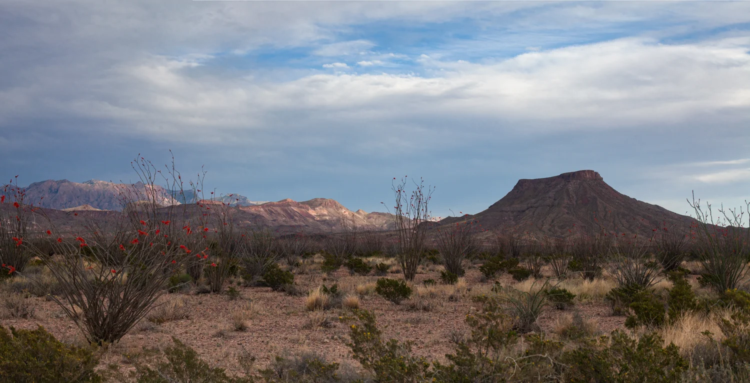 CANON_Canon EOS 5D Mark II_1780991-1834429_033-Edit-2.jpg