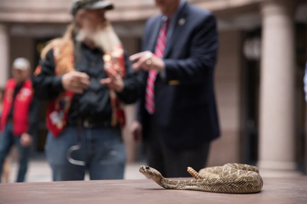 untitled (61 of 97).jpg