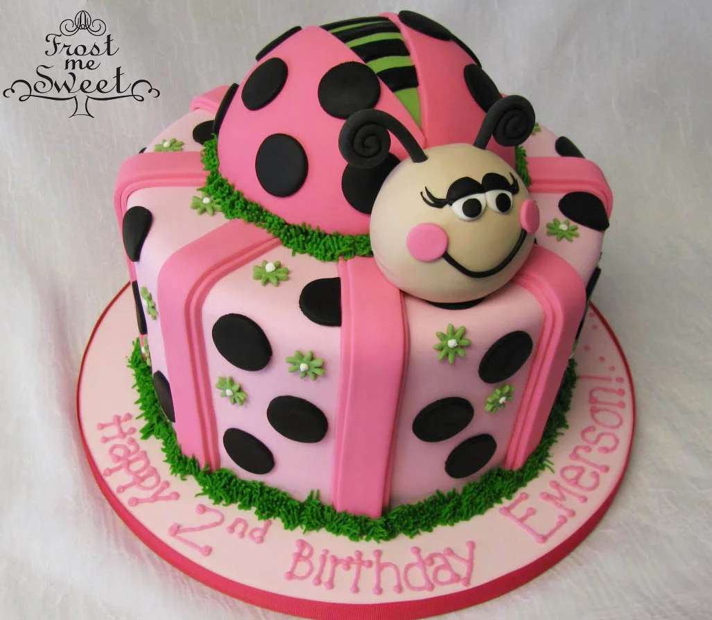 Ladybug cake