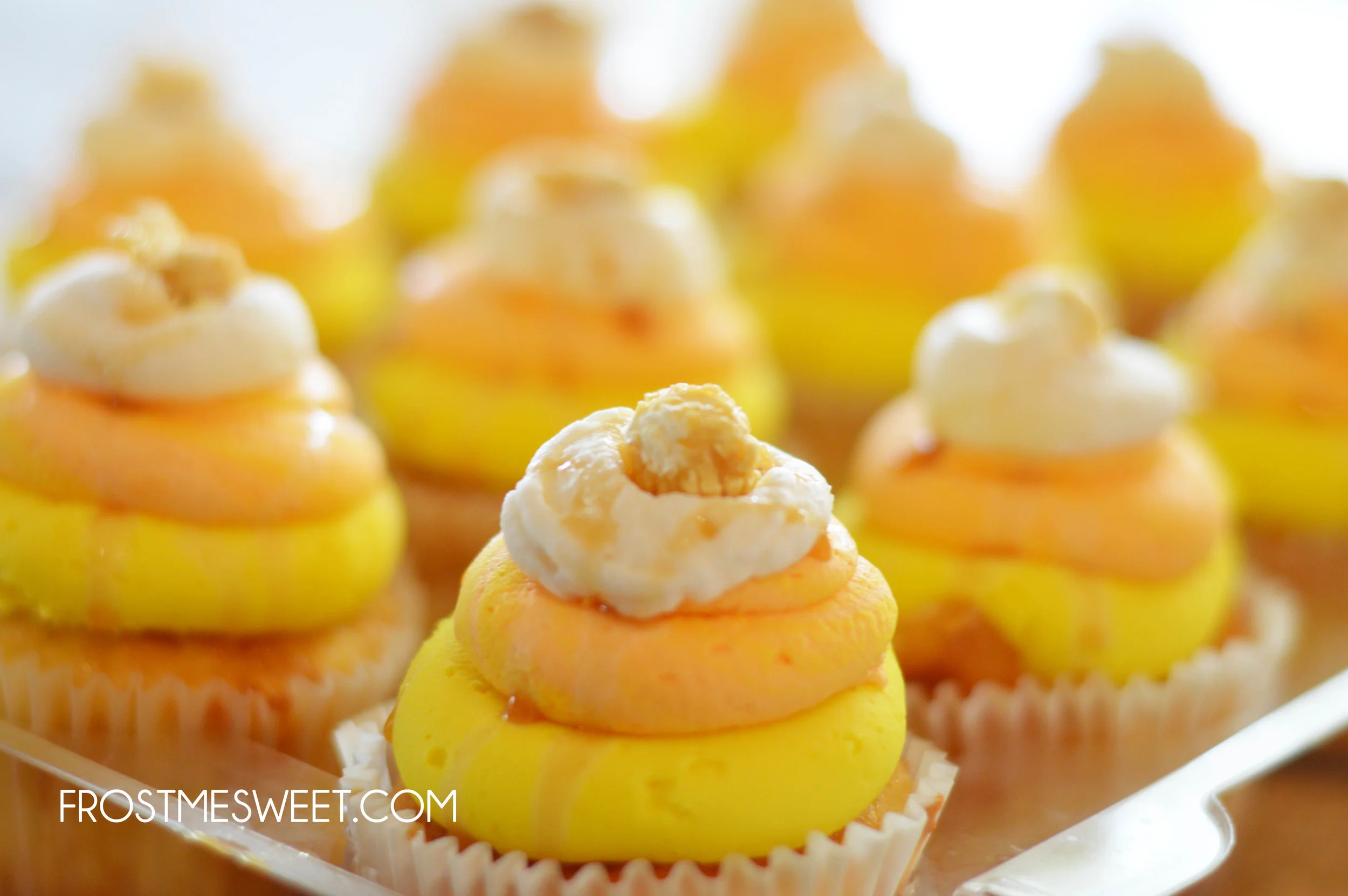halloween cupcakes 2.jpg