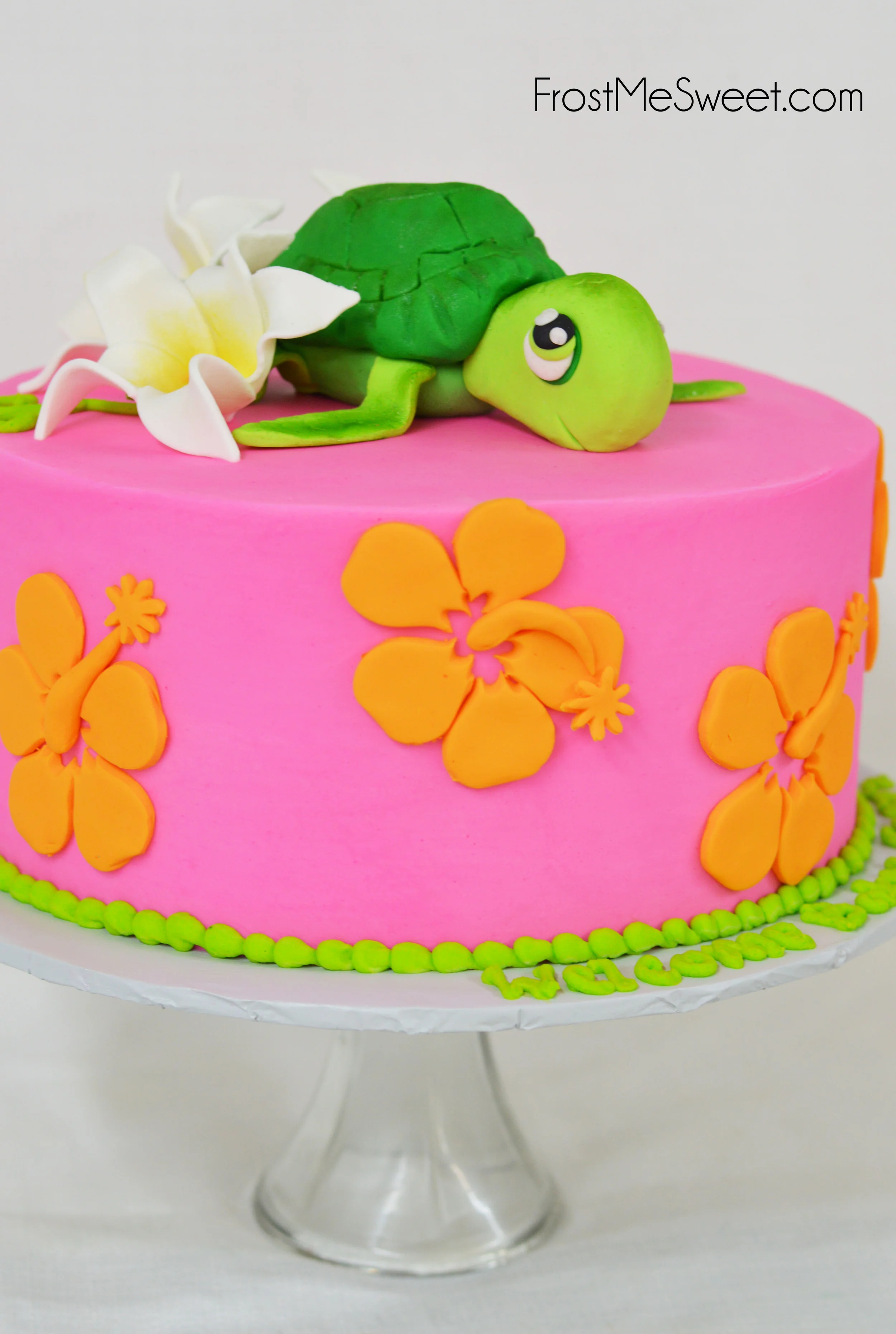 Hawaii Sea Turtle cake