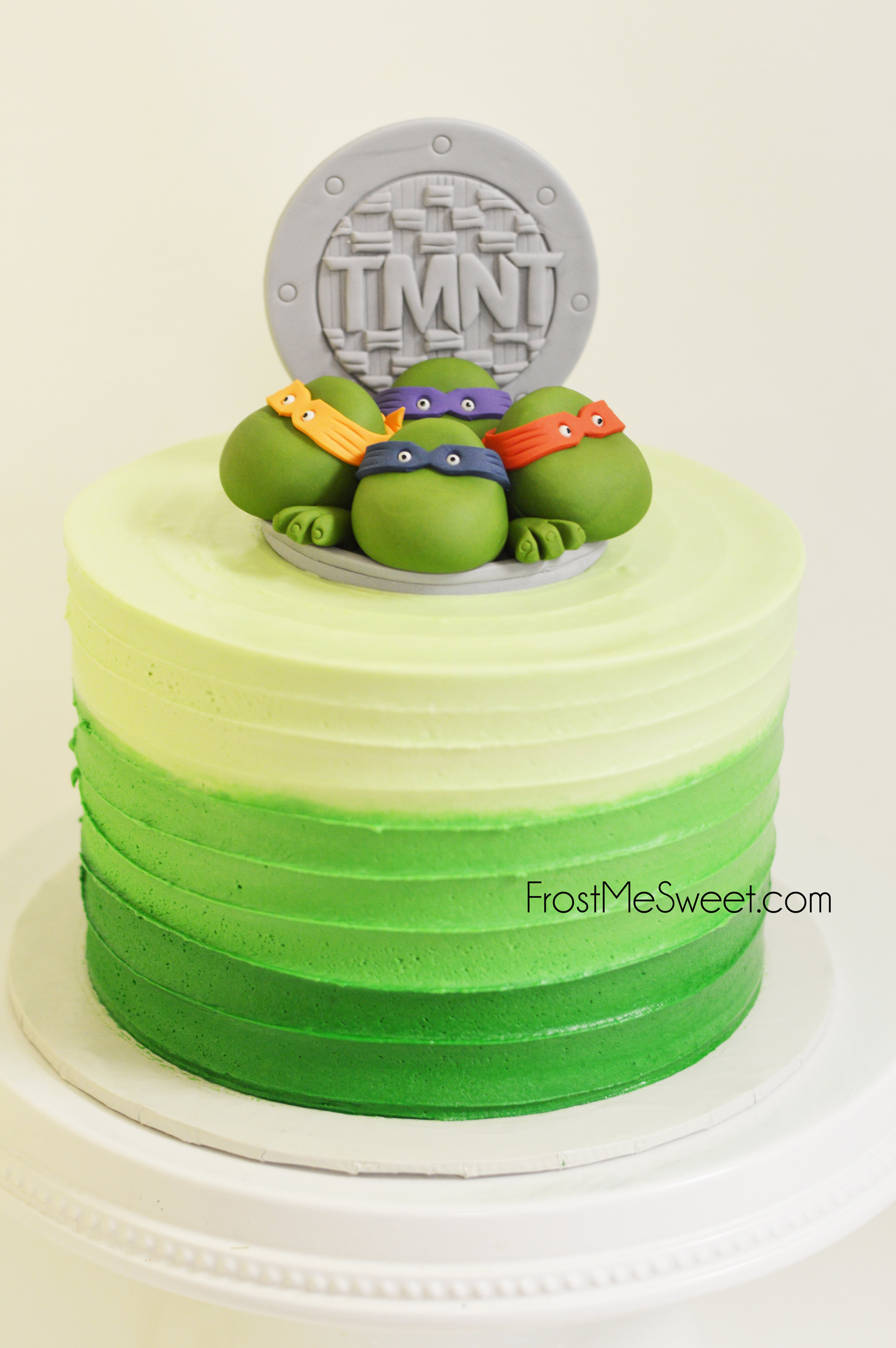 tmnt cake 2.jpg