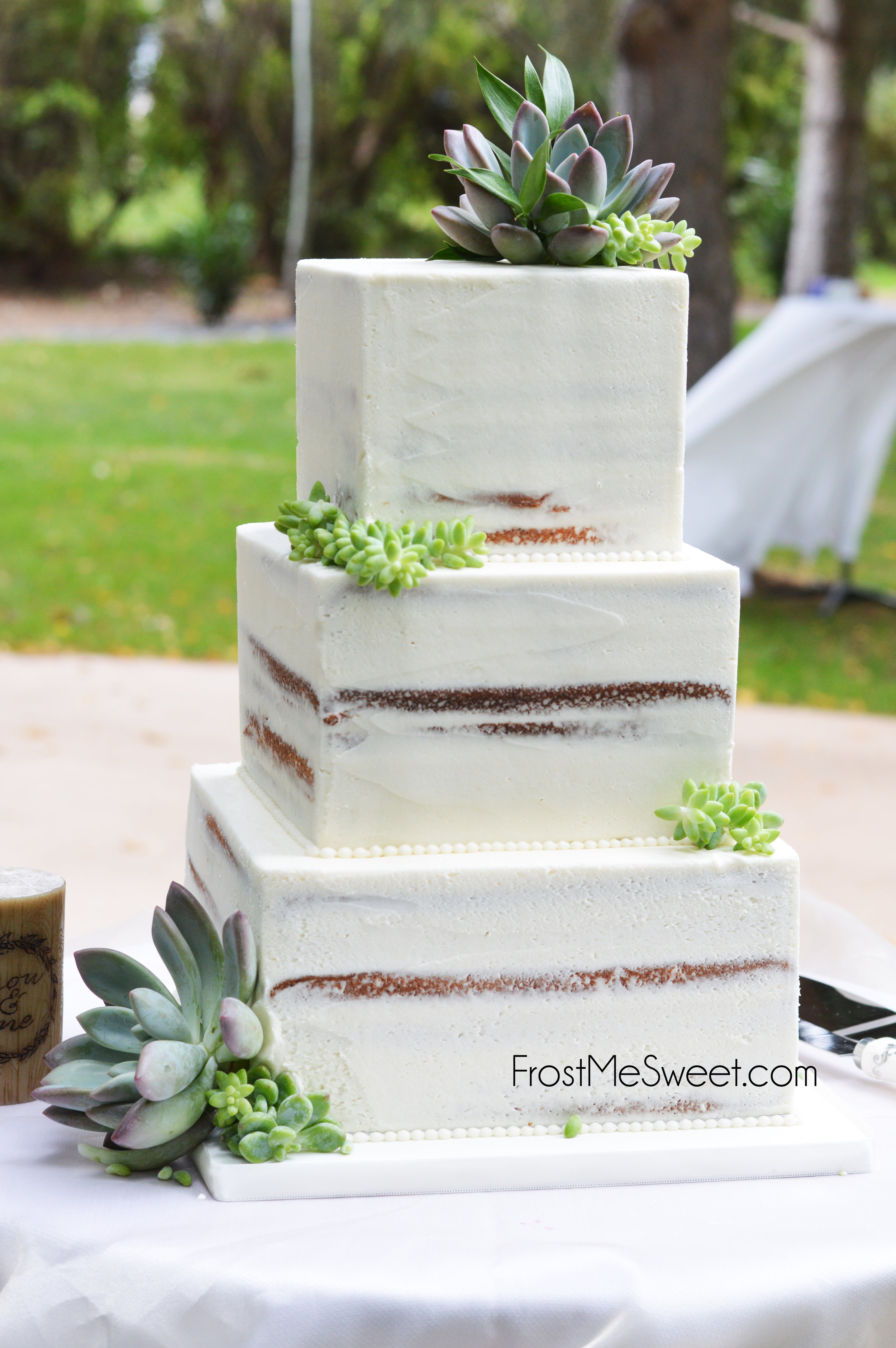 Square naked cake with succulents