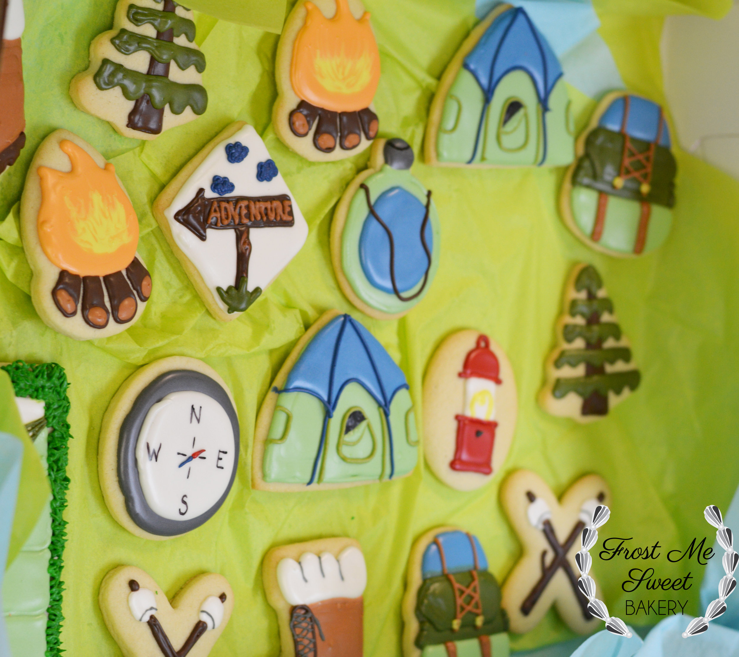 outdoor adventure cookies.jpg