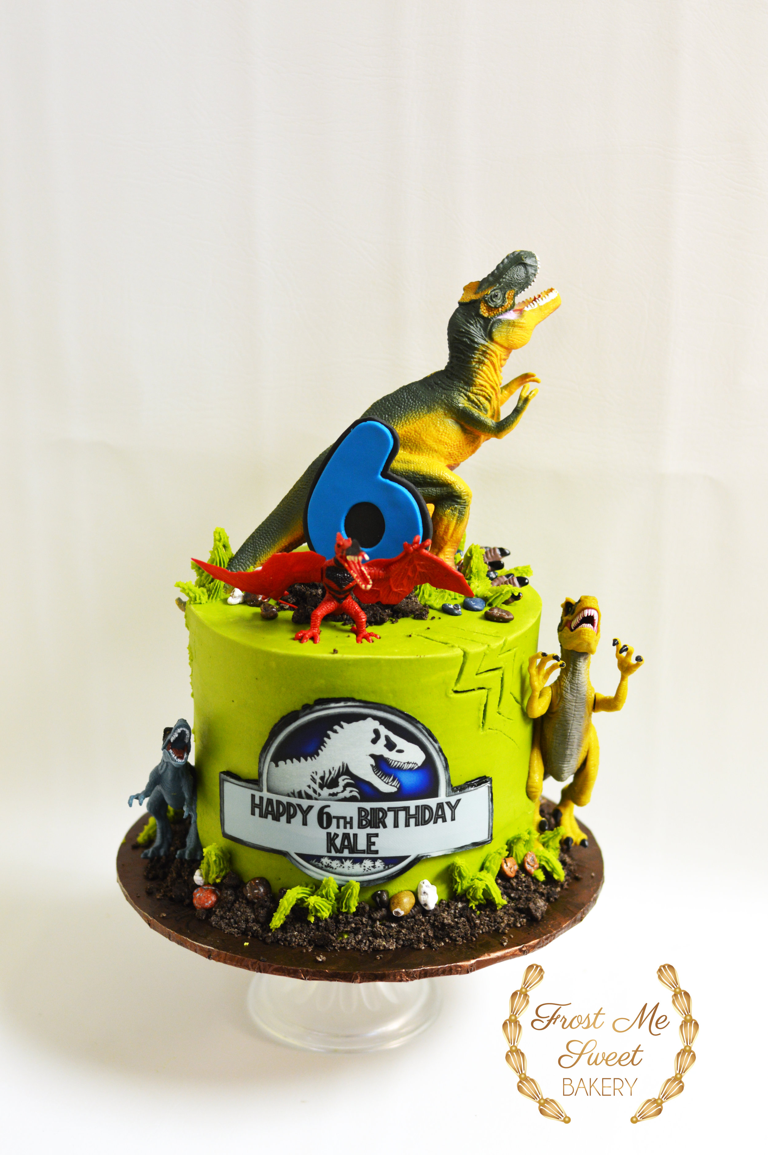jurassic dinosaur birthday cake.jpg