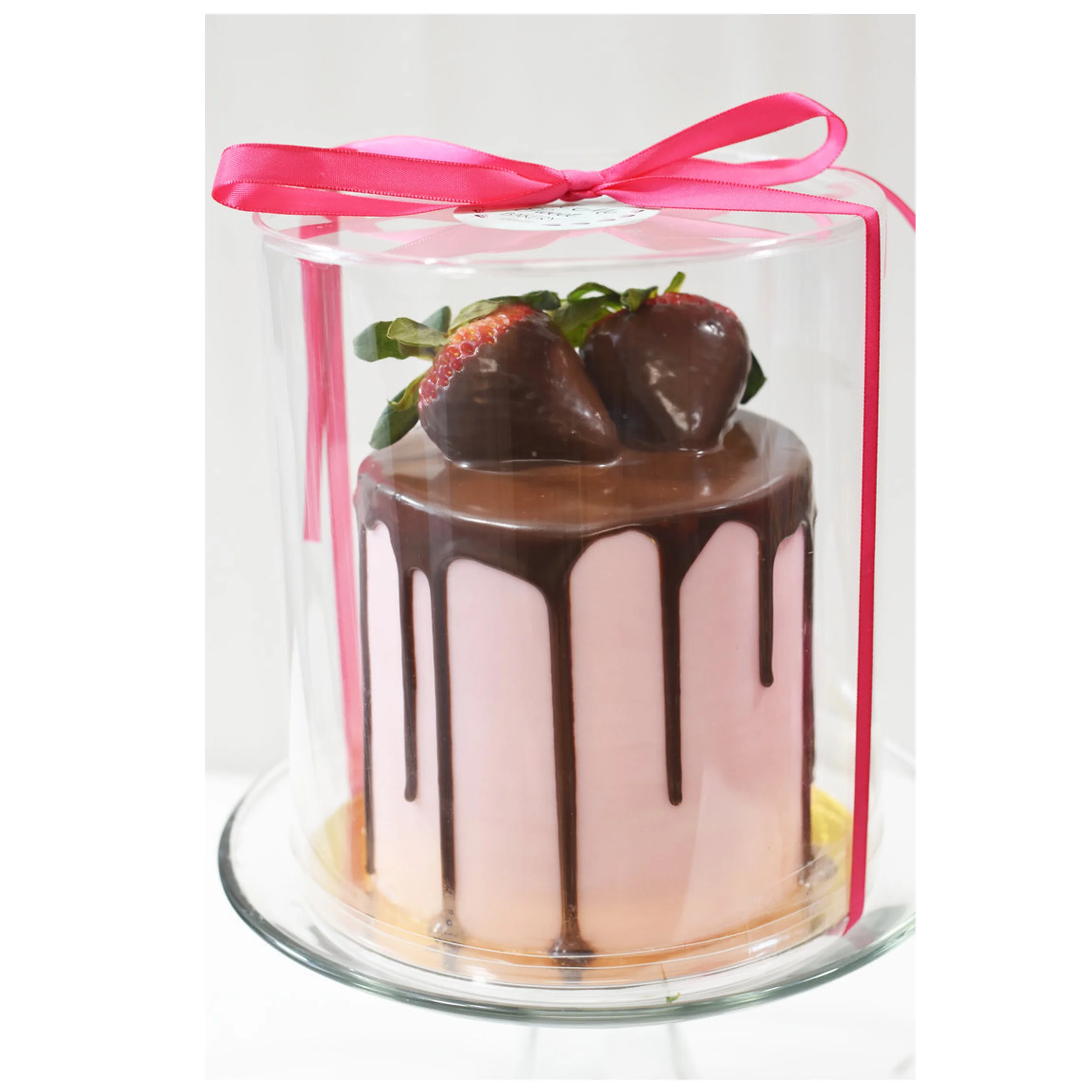 chocolate dipped strawberry on white background 2.jpg