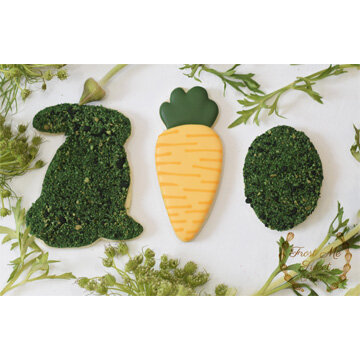 garden moss set to fit web.jpg