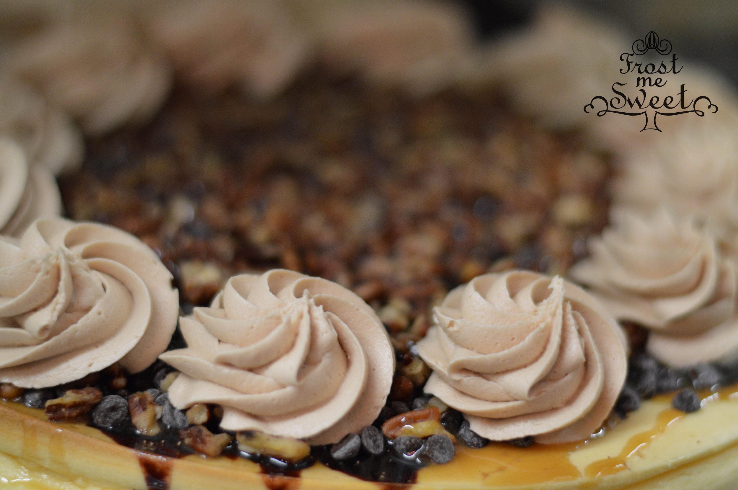 Cheesecake-turtle.jpg