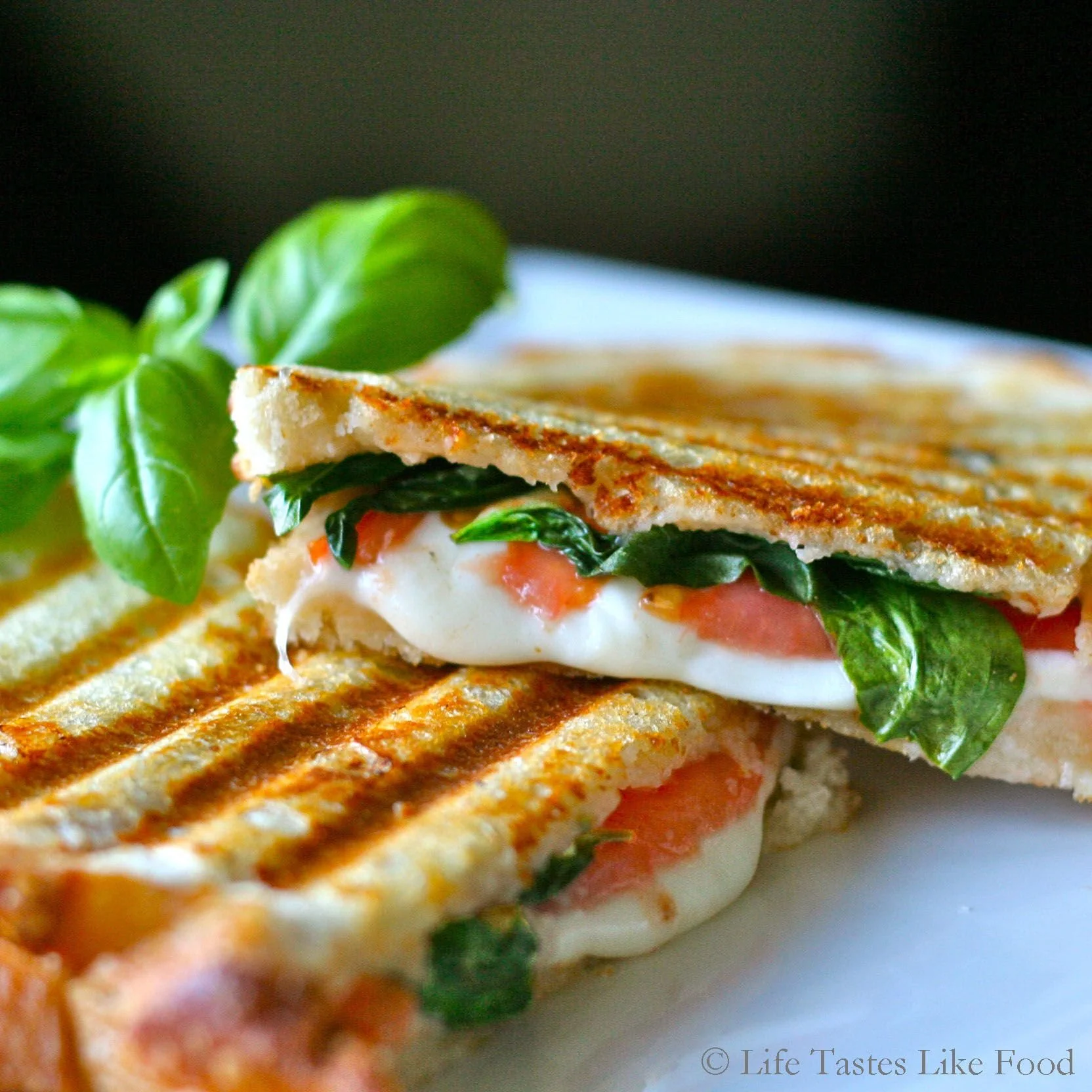 bistro panini.jpg